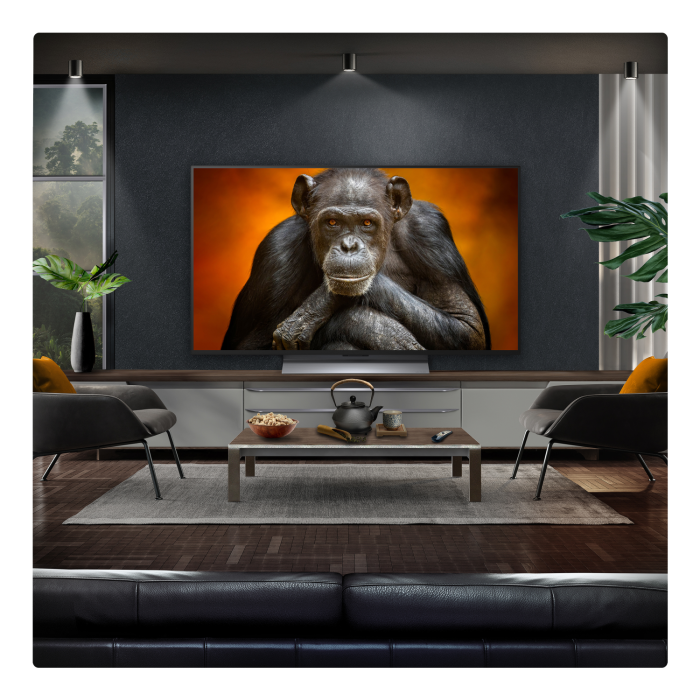 48" LG Evo OLED48G56LS 4K HDR Smart EVO OLED TV - Electronic World TV