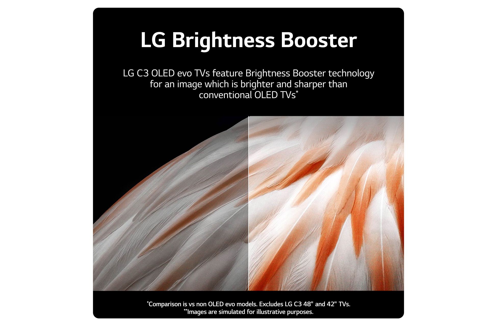 77" LG OLED77C34LA 4K HDR Smart OLED Evo TV - Electronic World TV