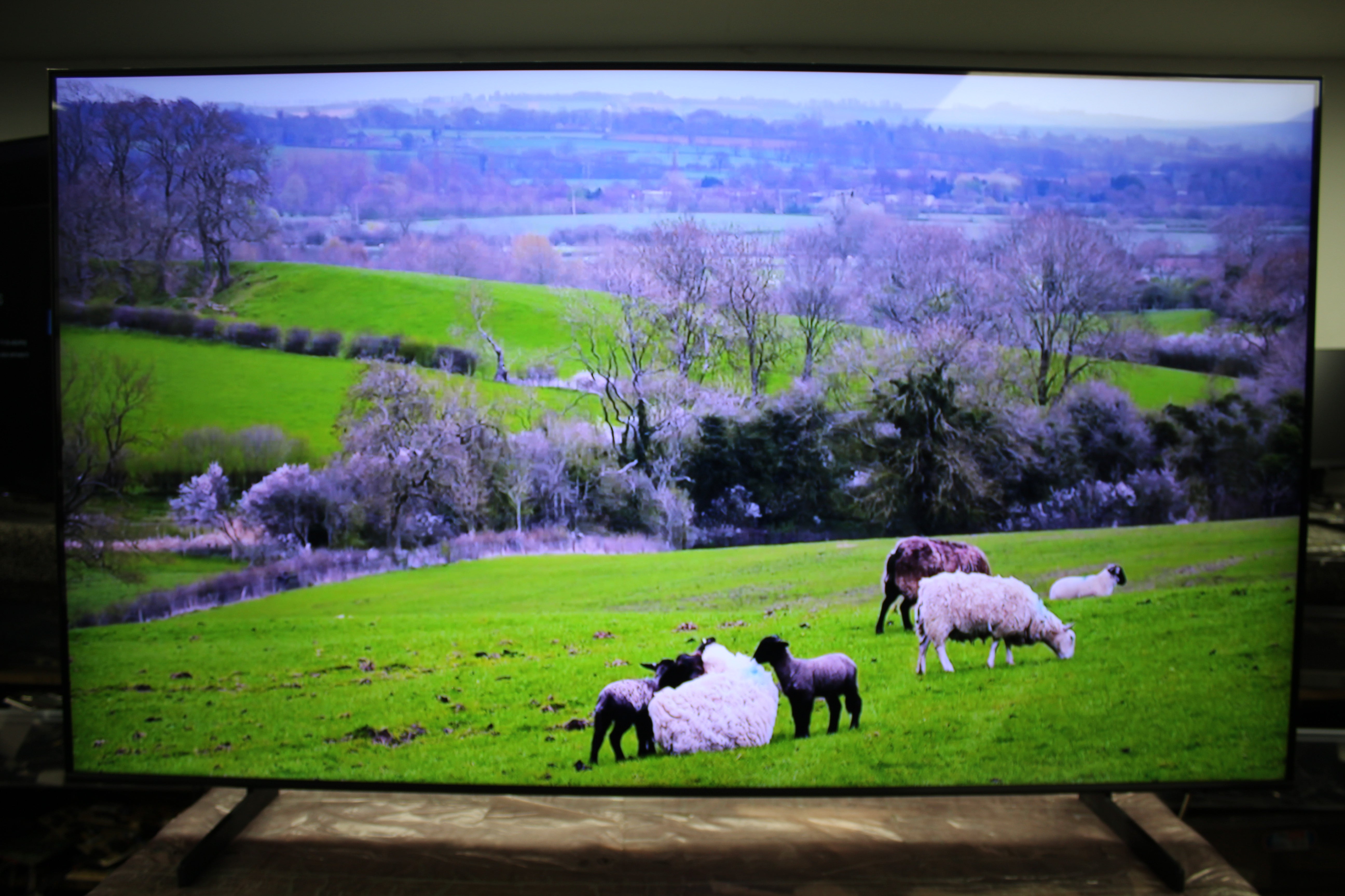 65" Samsung QE65Q60BAUXXU Quantum 4K HDR Smart QLED TV - Electronic World TV