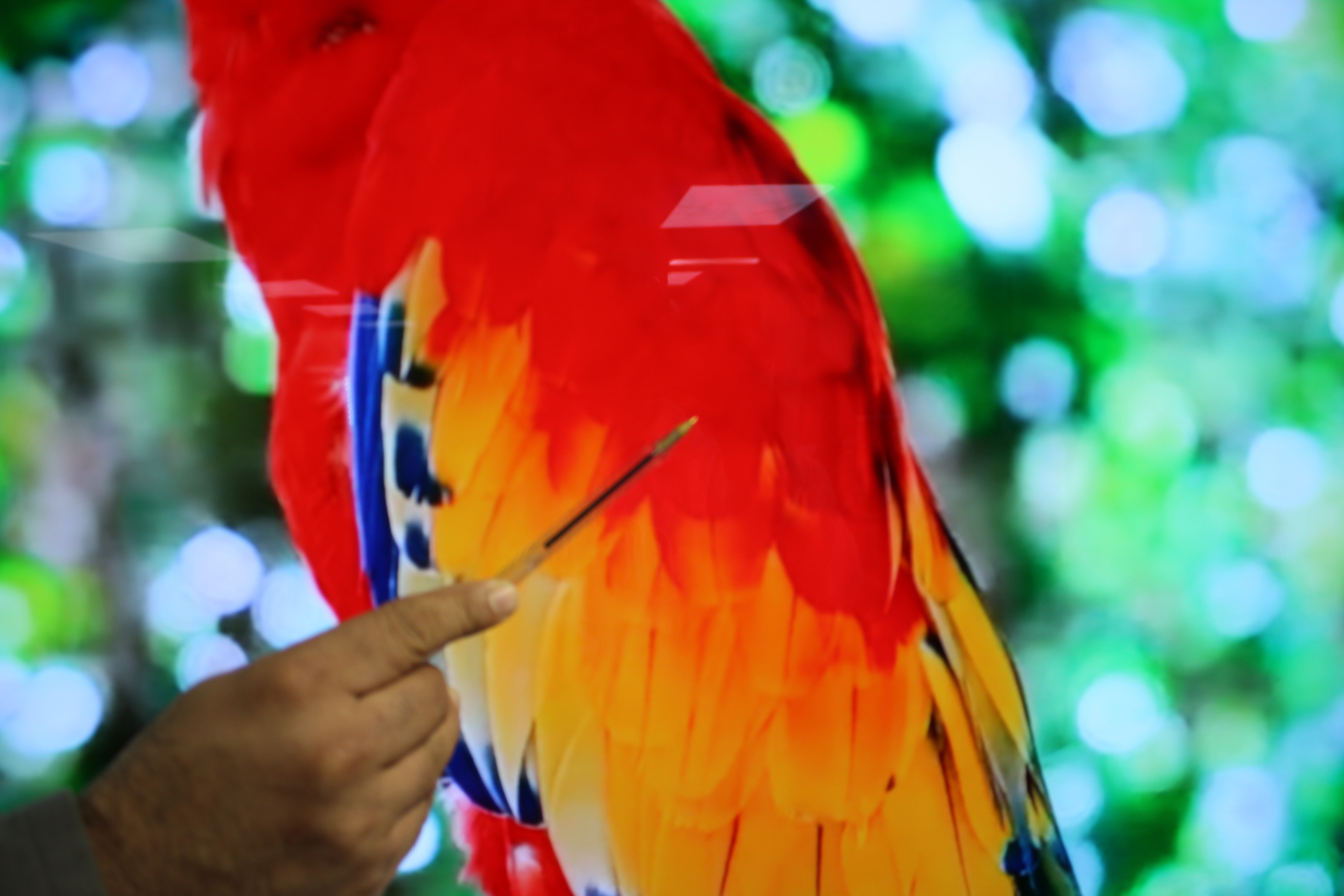 65" Sony Bravia KD65A85BU Flagship 4K HDR Android OLED TV - Electronic World TV