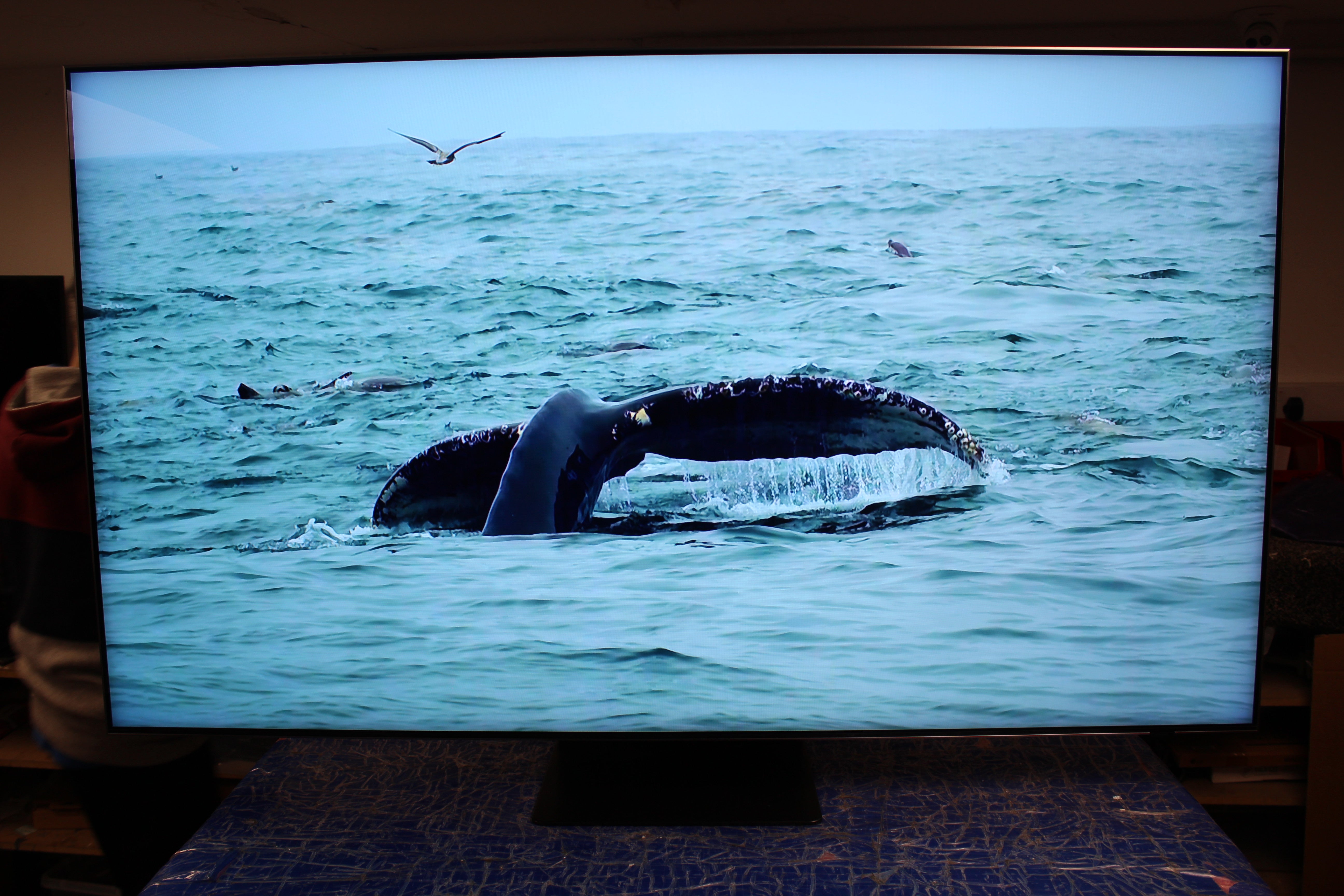 65" Samsung QE65QN85BATXXU Flagship 4K HDR Neo QLED TV - Electronic World TV