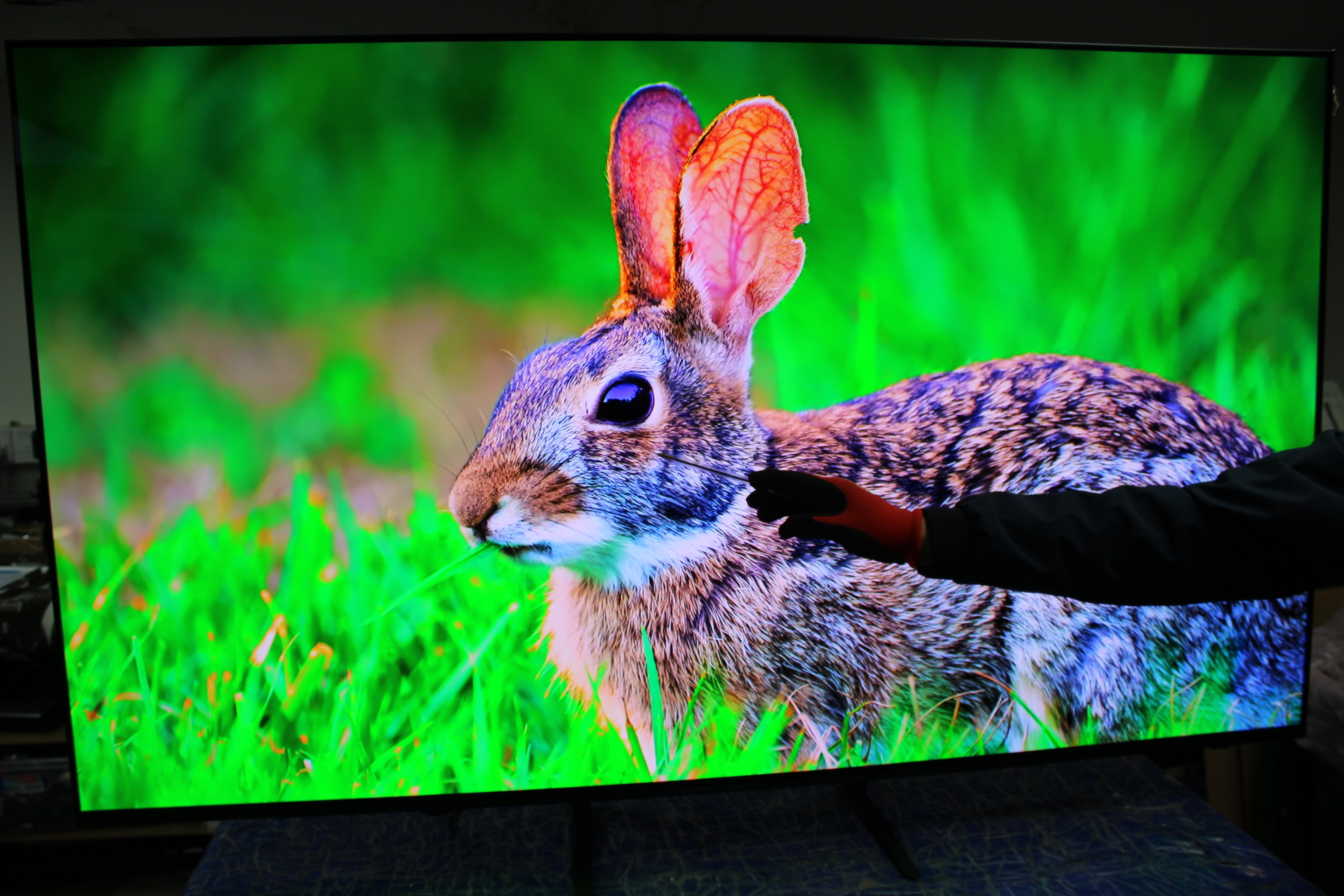 65" Samsung QE65S90CATXXU Flagship 4K HDR Quantum Dot OLED TV - Electronic World TV