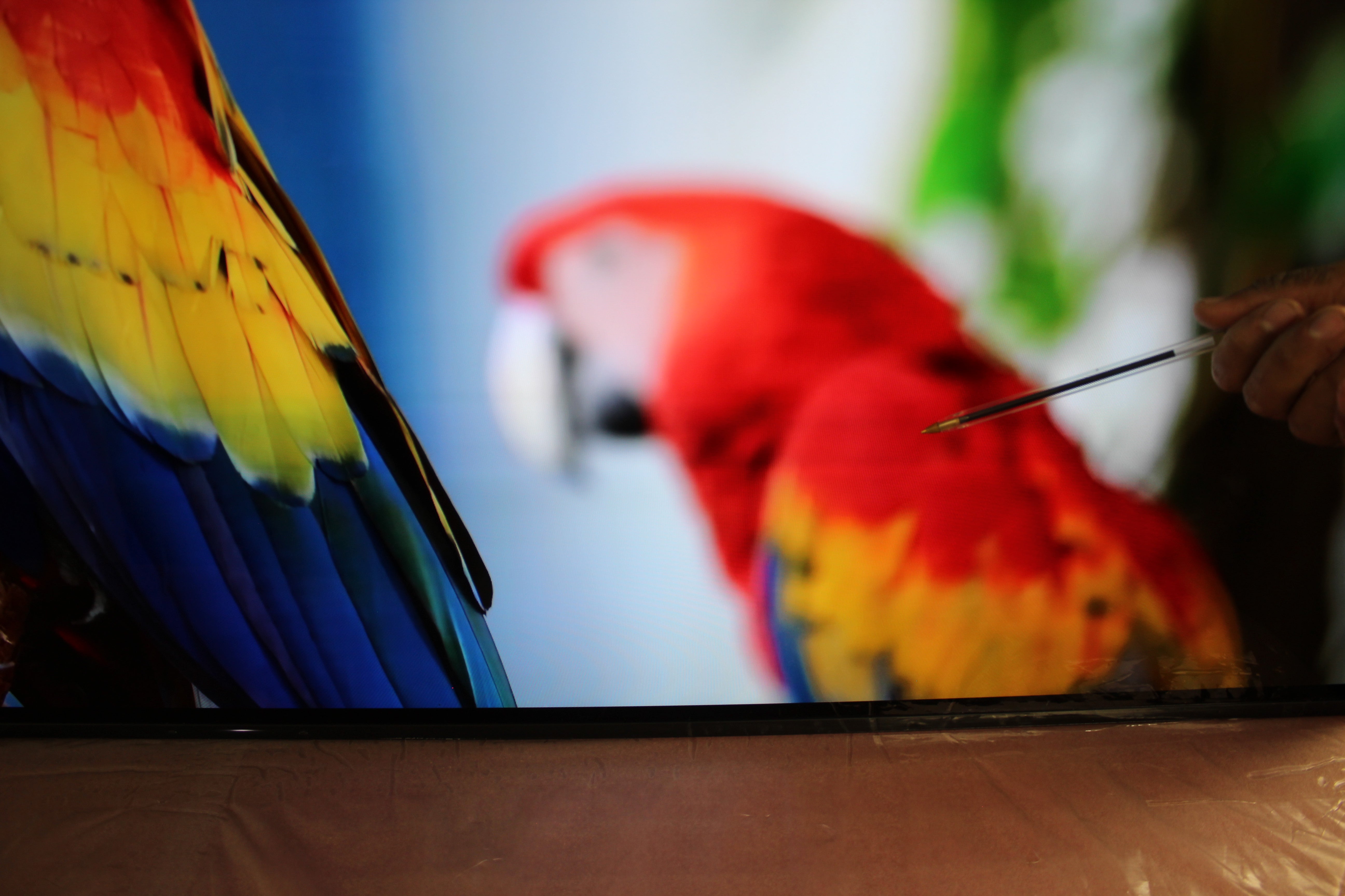 55" Sony KD55AF9BU 4K Ultra HD HDR Android Smart OLED TV - Electronic World TV