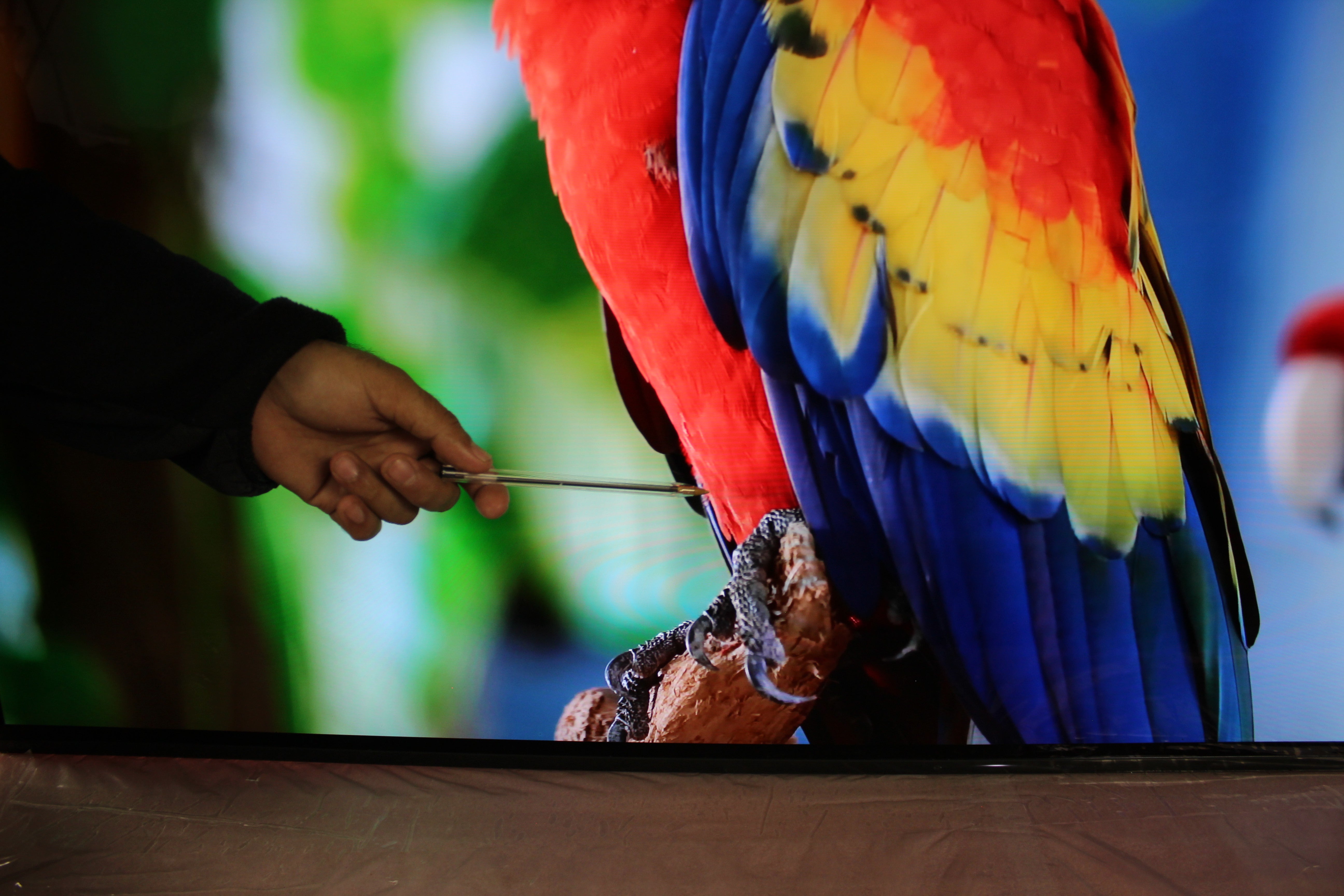 55" Sony KD55AF9BU 4K Ultra HD HDR Android Smart OLED TV - Electronic World TV