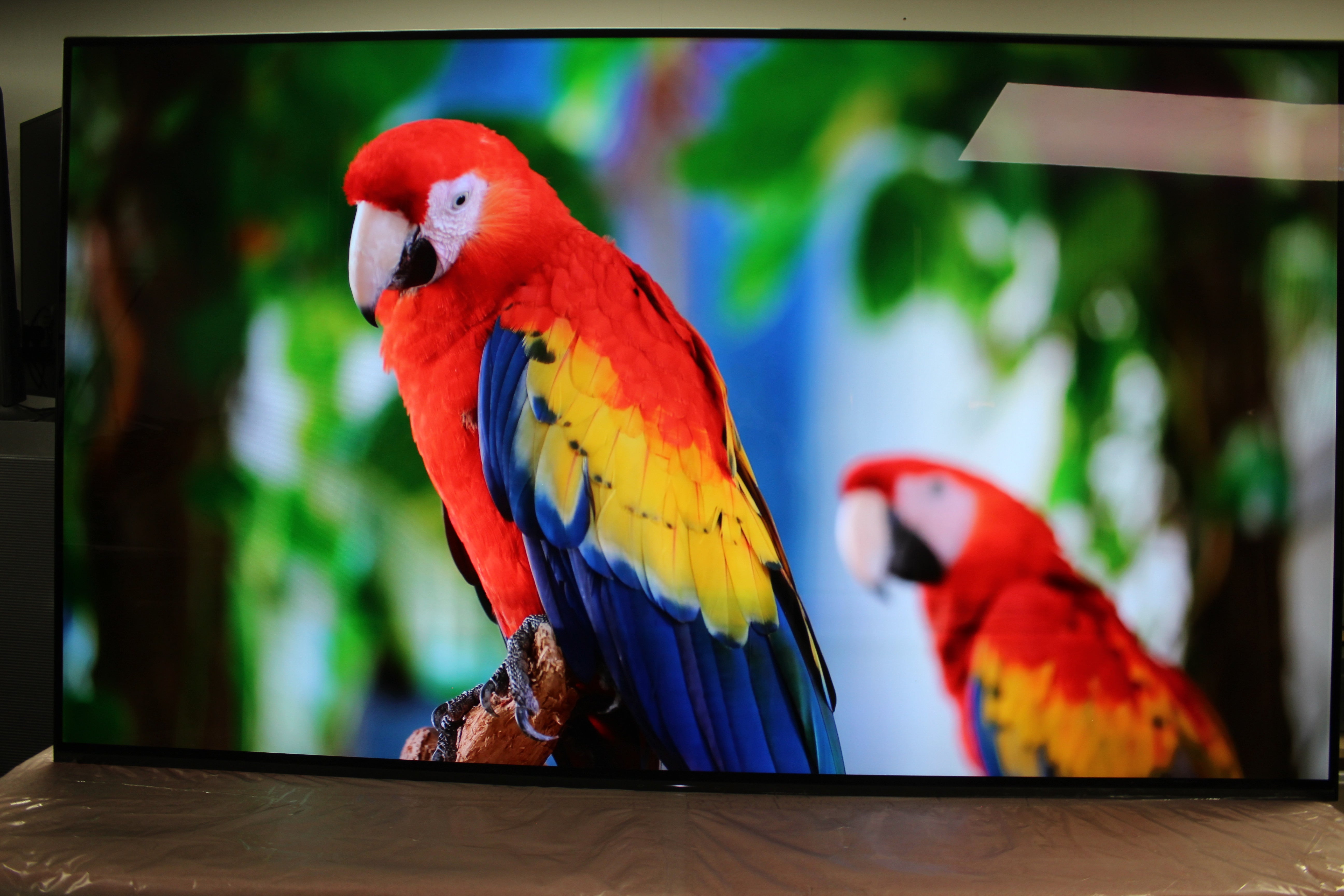 55" Sony KD55AF9BU 4K Ultra HD HDR Android Smart OLED TV - Electronic World TV