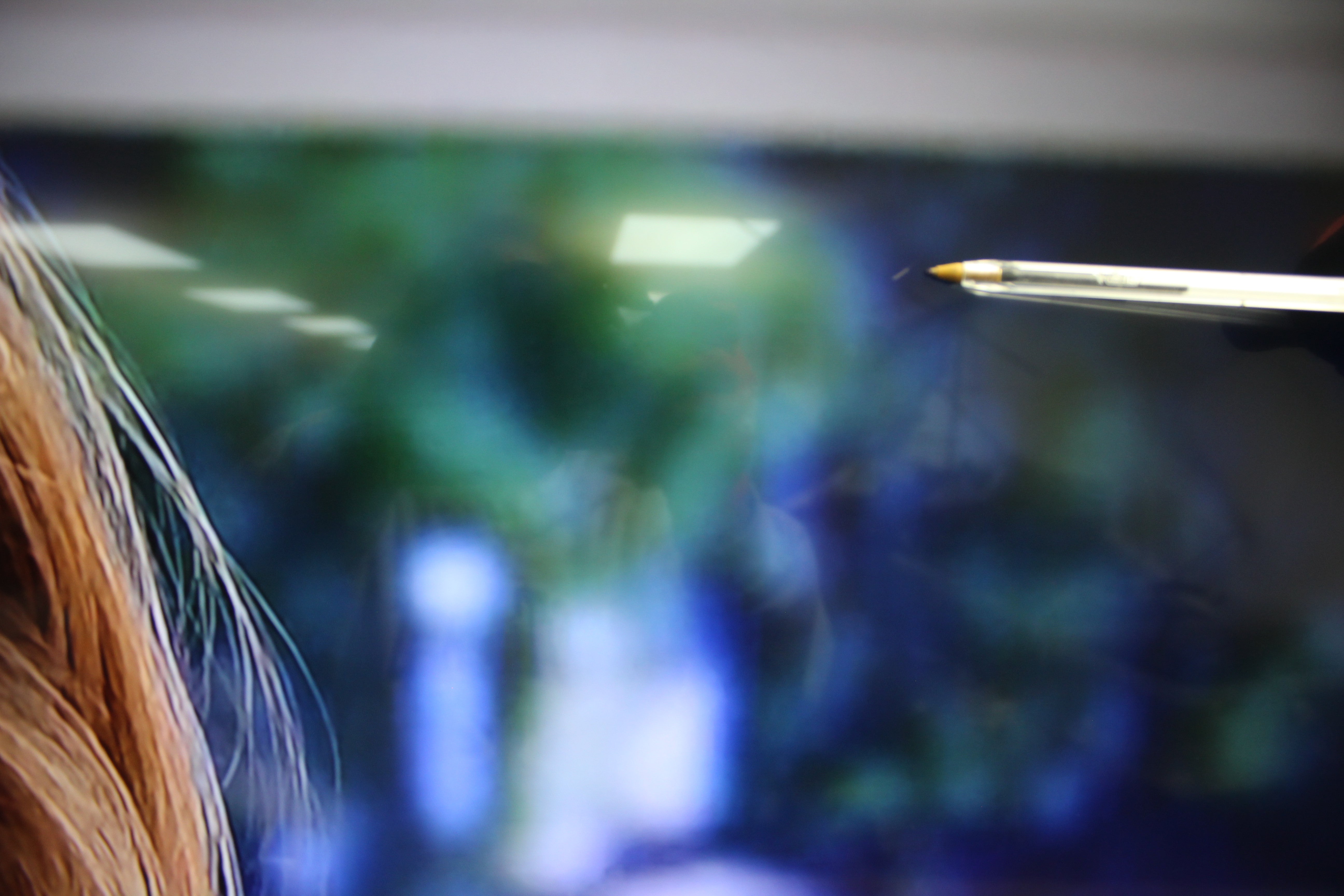 55" Toshiba Fire 55UF3D53DB 4K Ultra HD HDR Smart LED TV - Electronic World TV