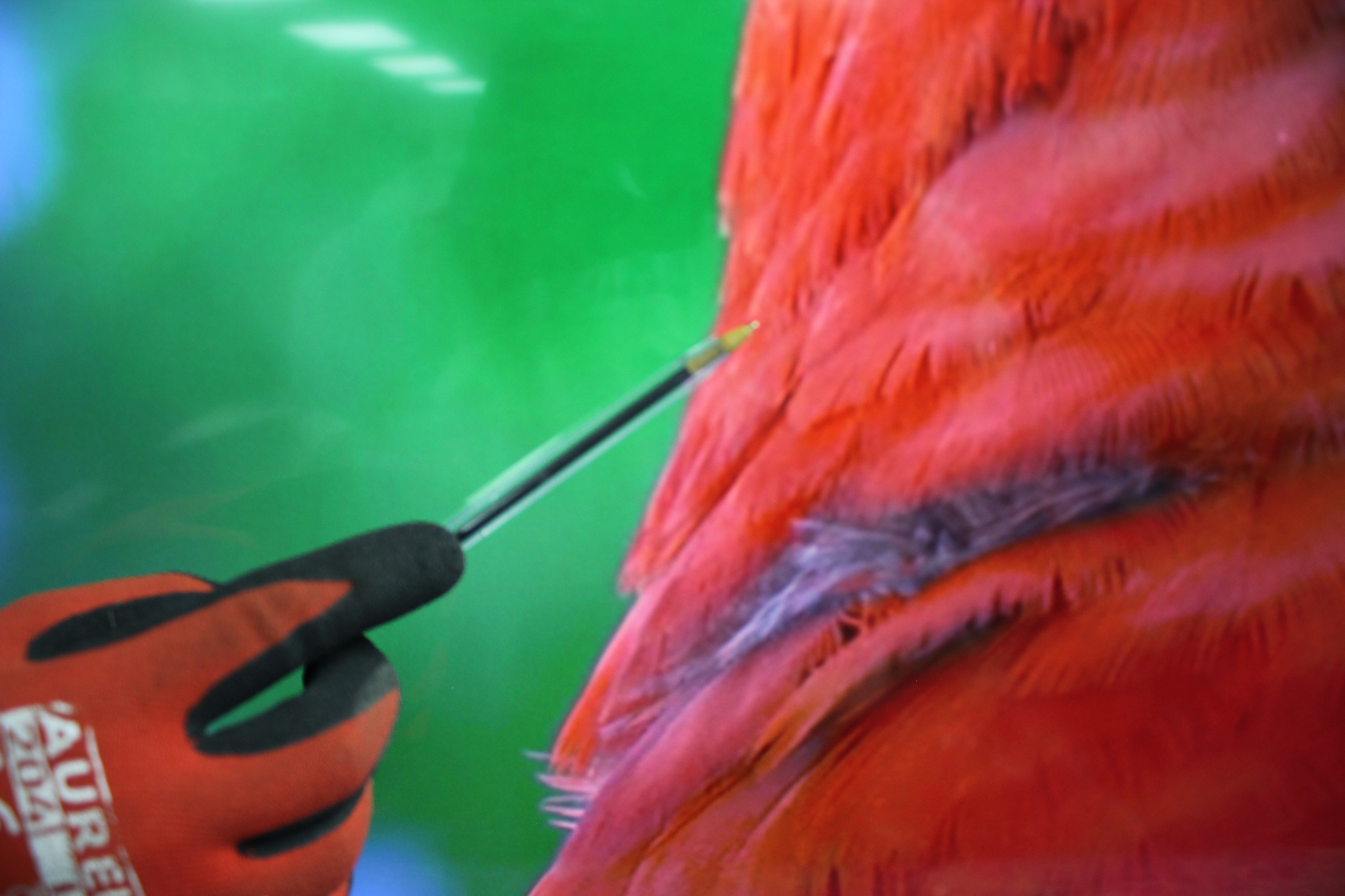 65 Samsung UE65KU6020 4K HDR Smart LED TV - Electronic World TV