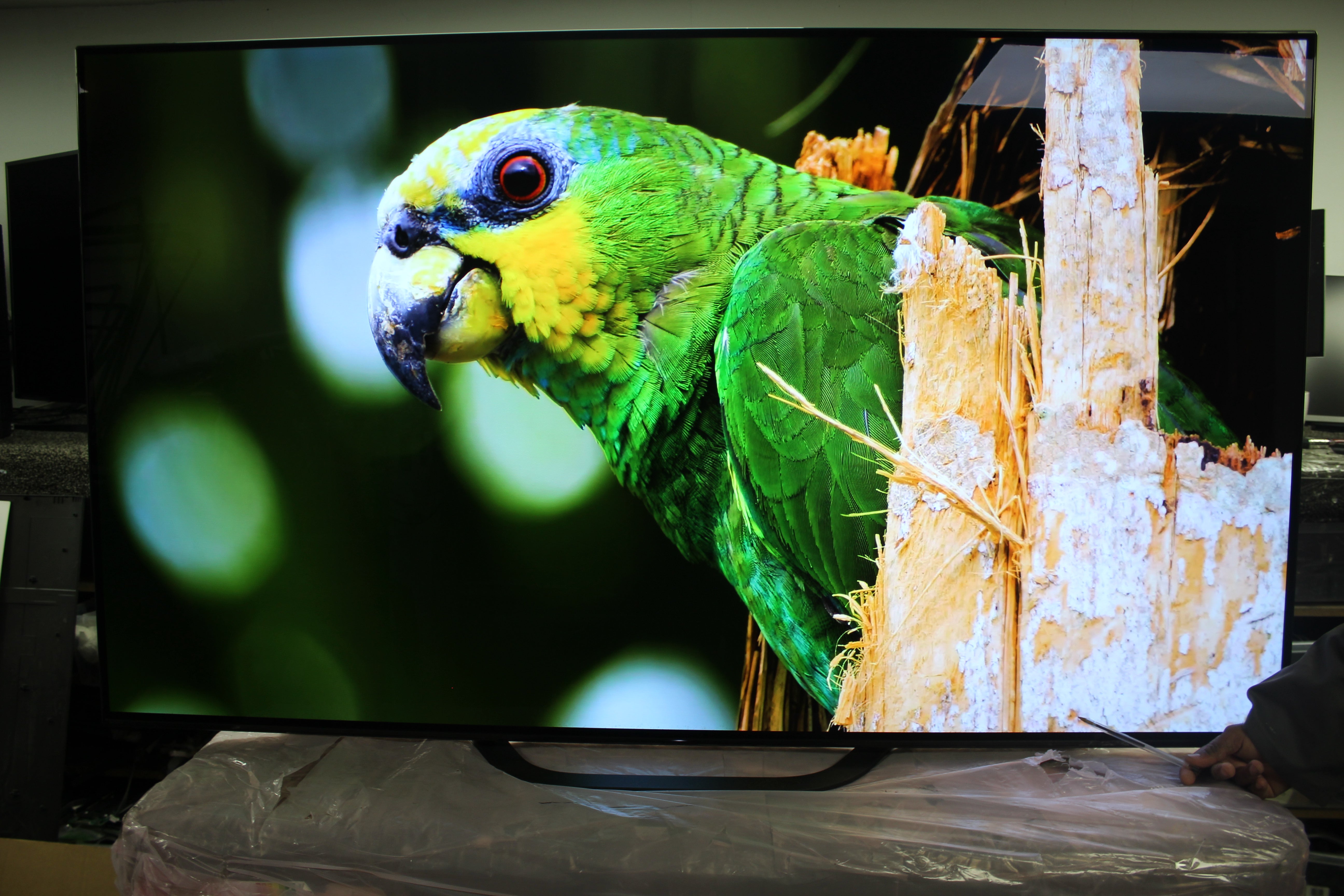 65" Sony KD65AG8BU 4K HDR Android Smart OLED TV - Electronic World TV