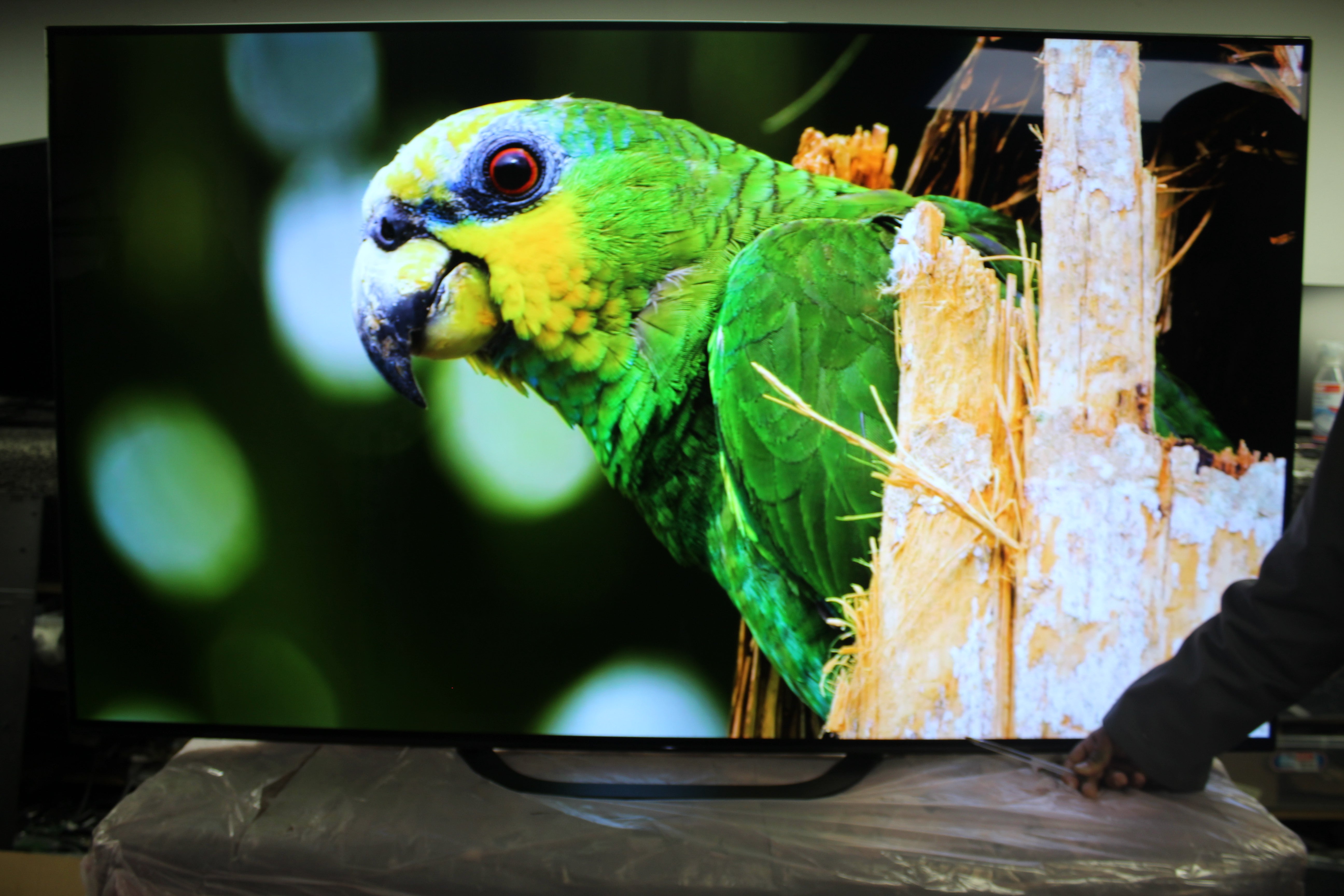 65" Sony KD65AG8BU 4K HDR Android Smart OLED TV - Electronic World TV