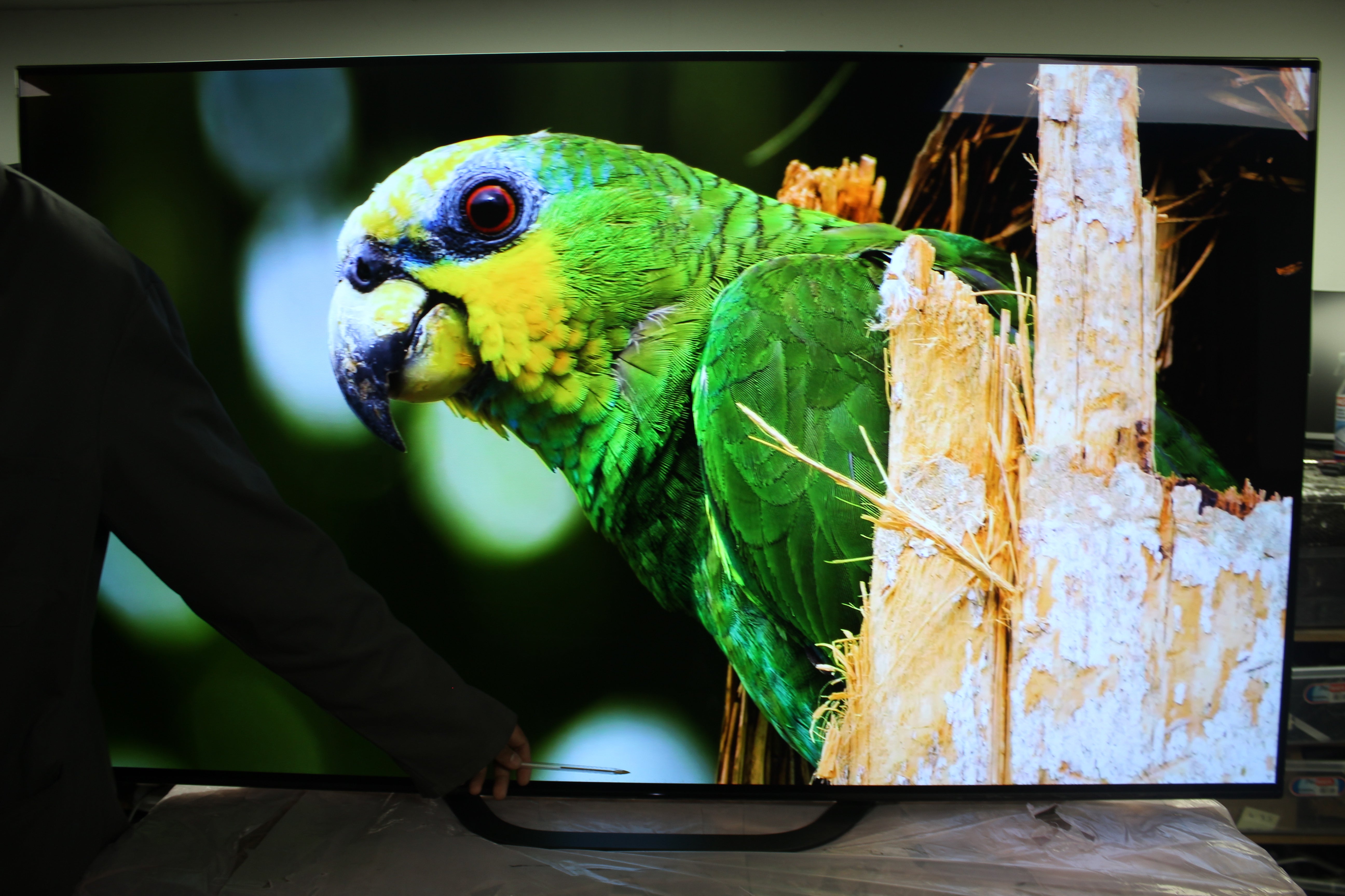 65" Sony KD65AG8BU 4K HDR Android Smart OLED TV - Electronic World TV