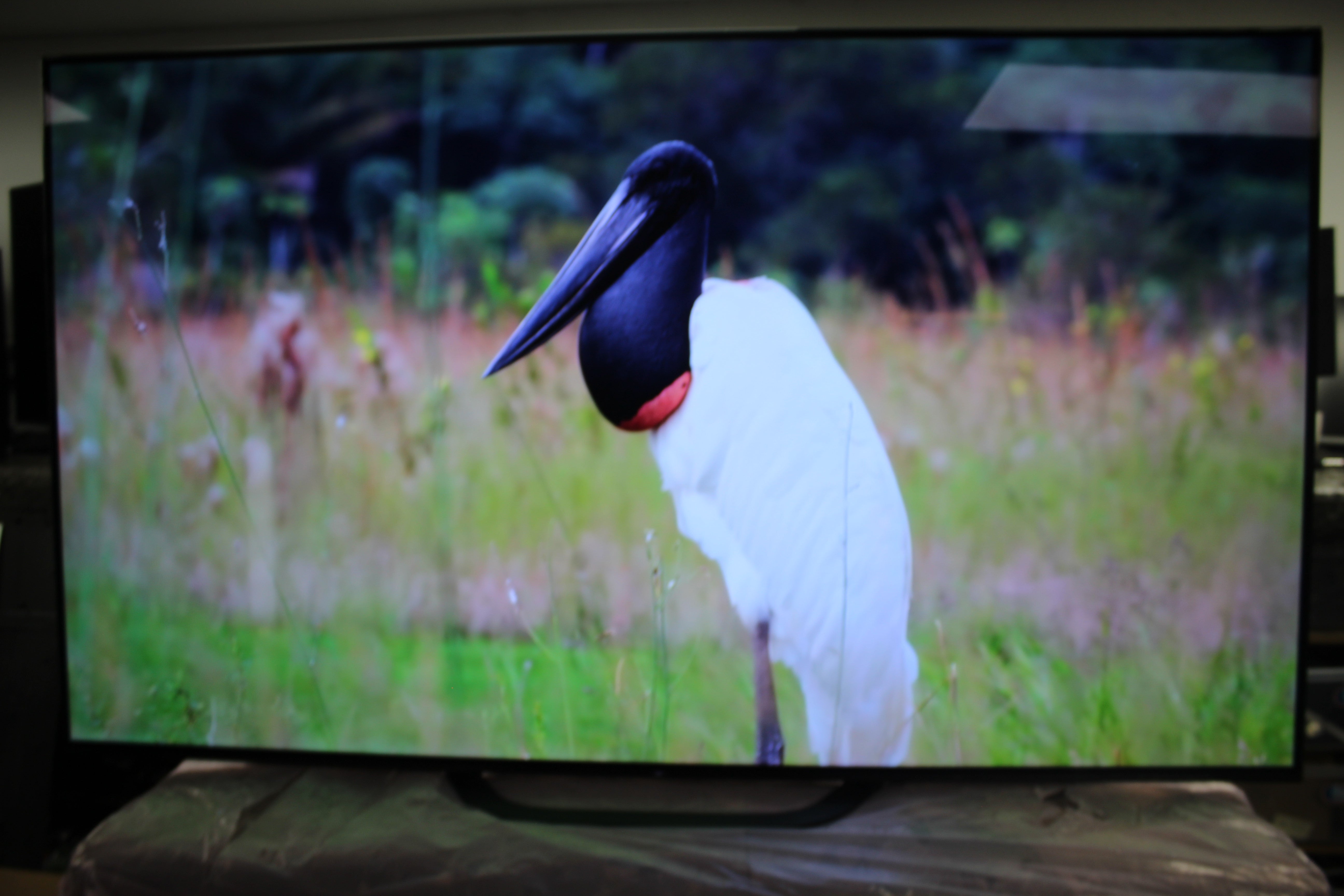 65" Sony KD65AG8BU 4K HDR Android Smart OLED TV - Electronic World TV