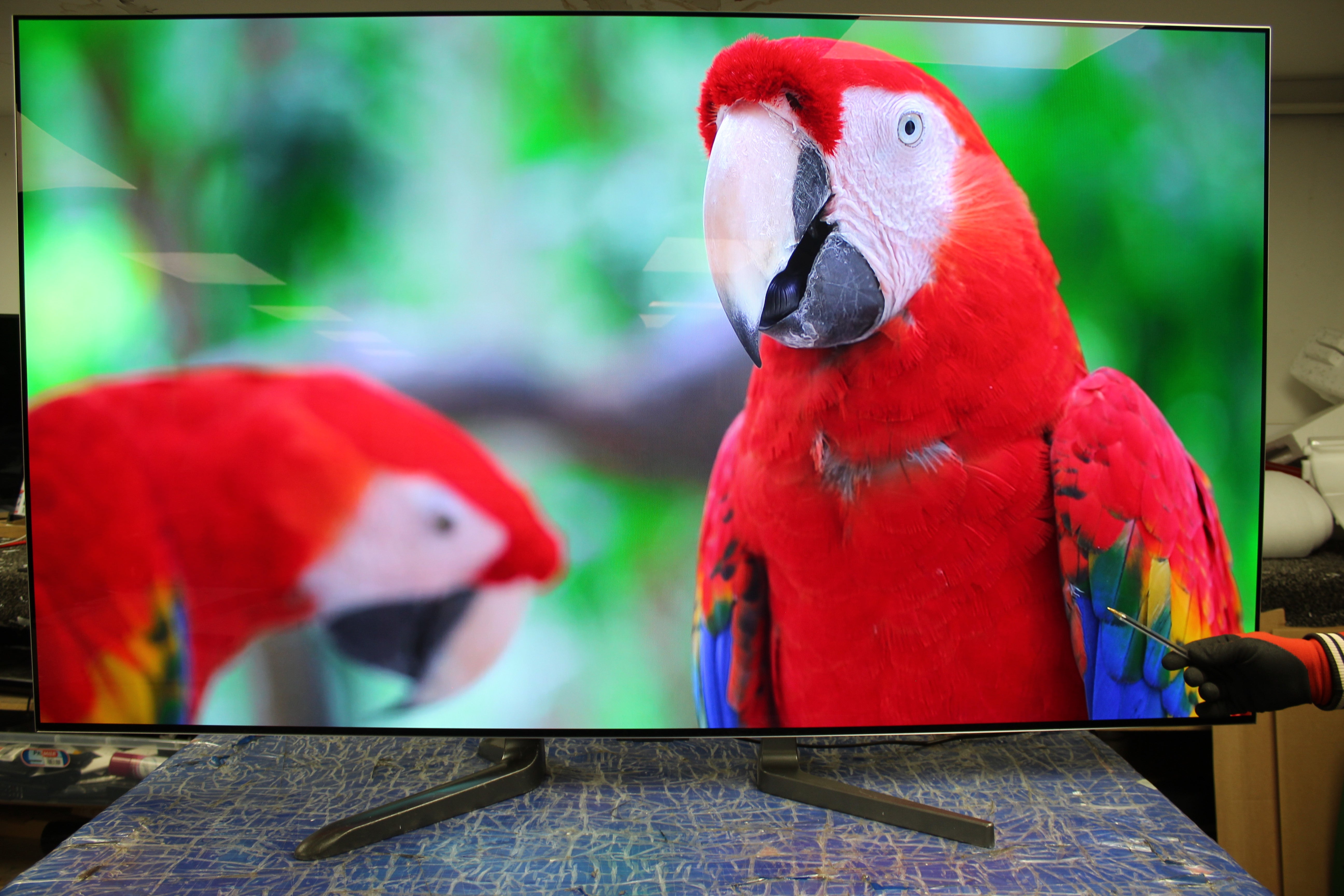 65" LG Evo OLED65G36LA 4K HDR Smart Gallery Edition OLED TV - Electronic World TV