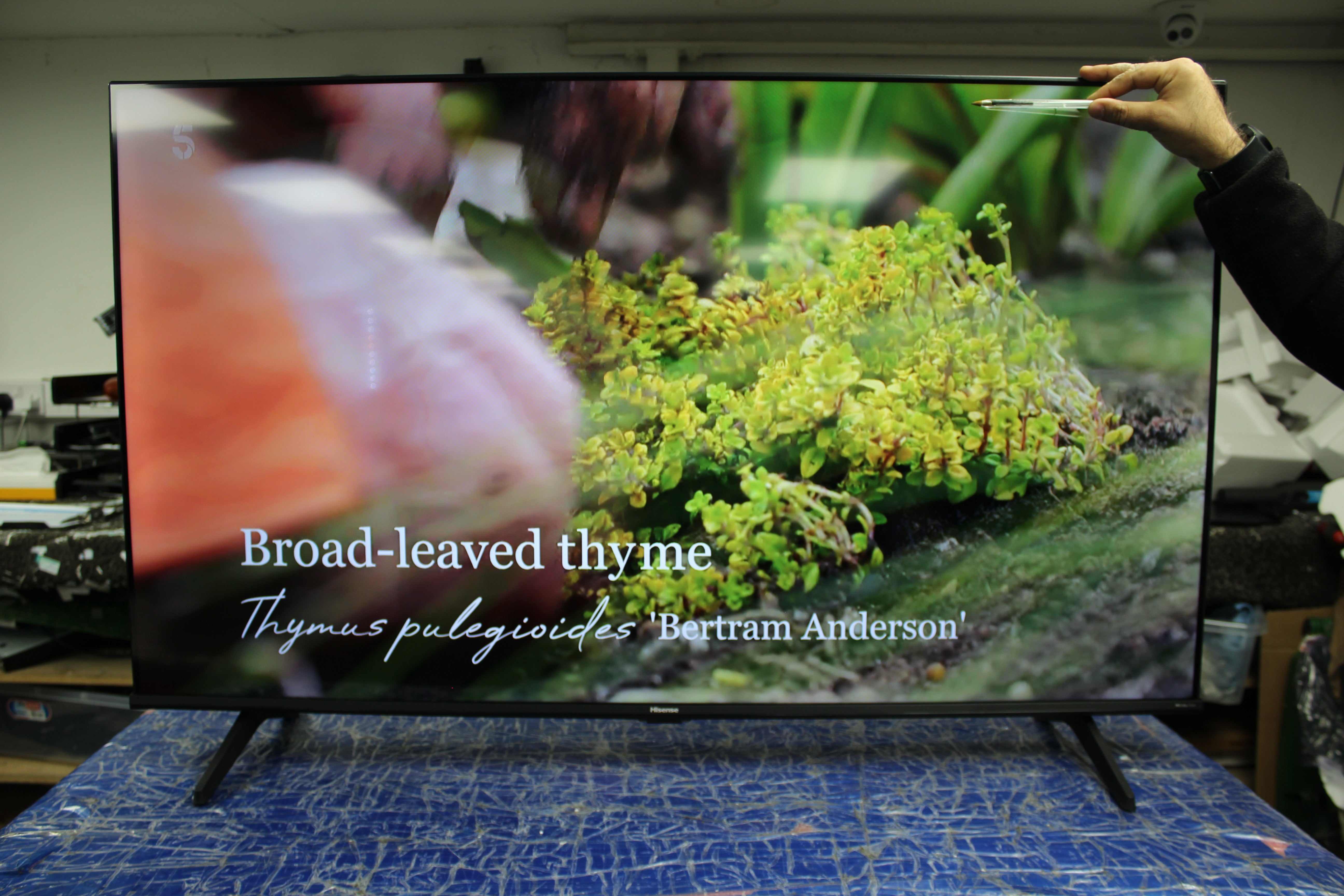 50" Hisense 50A6KTUK 4K HDR Freeview Play Smart LED TV - Electronic World TV