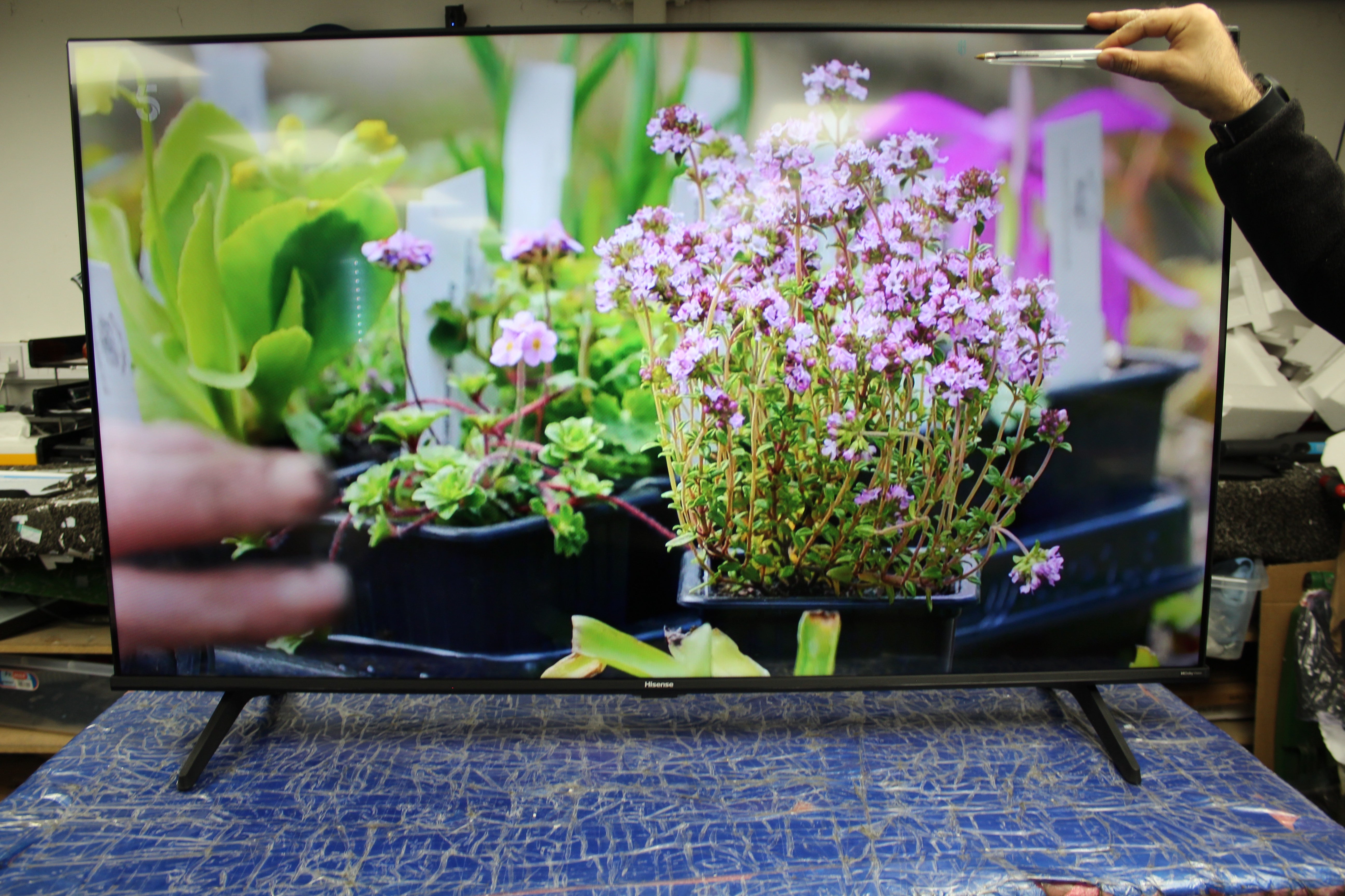 50" Hisense 50A6KTUK 4K HDR Freeview Play Smart LED TV - Electronic World TV