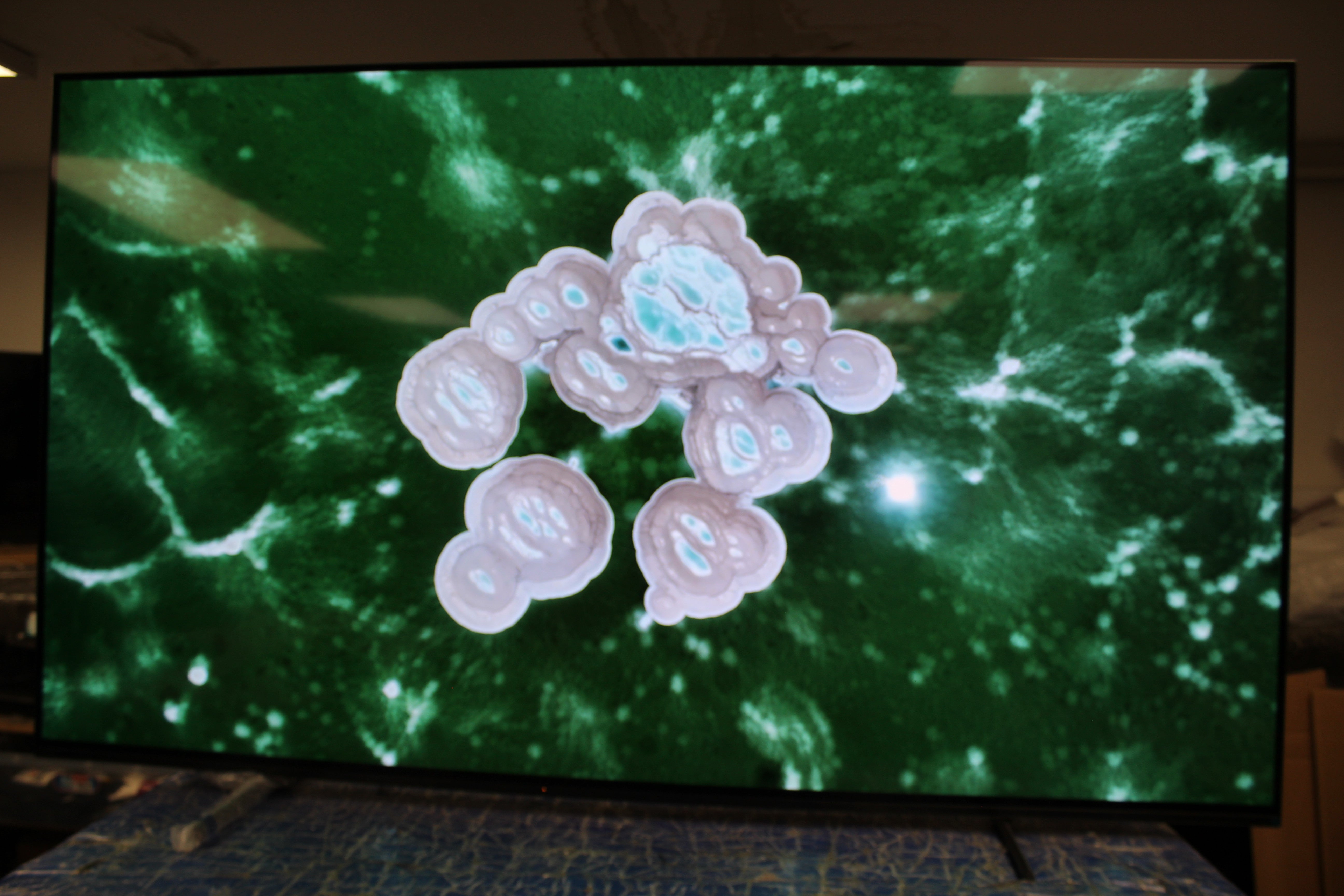 65" Sony Bravia XR65A80LU 4K HDR Google Smart OLED TV - Electronic World TV