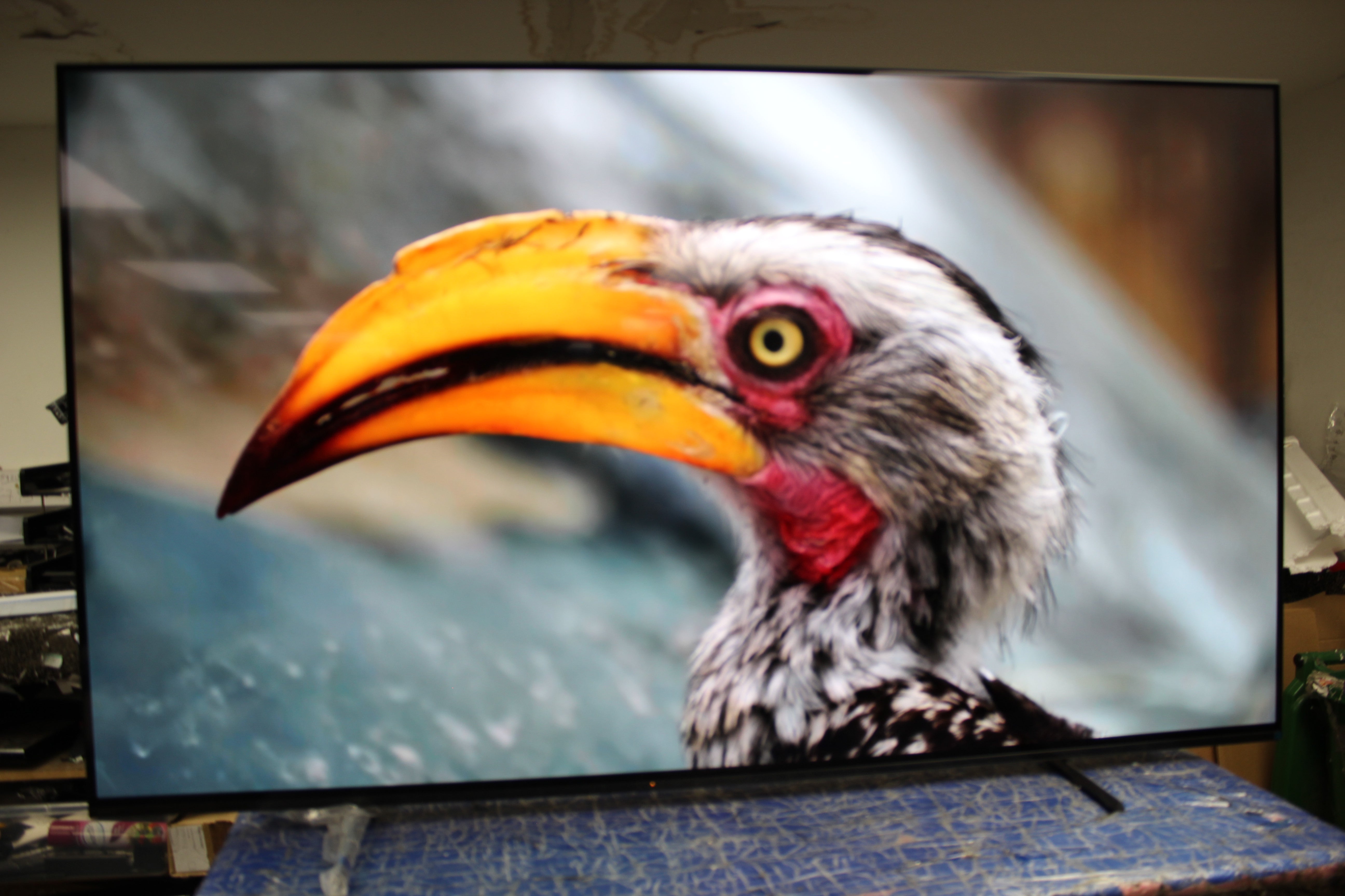 65" Sony Bravia XR65A80LU 4K HDR Google Smart OLED TV - Electronic World TV