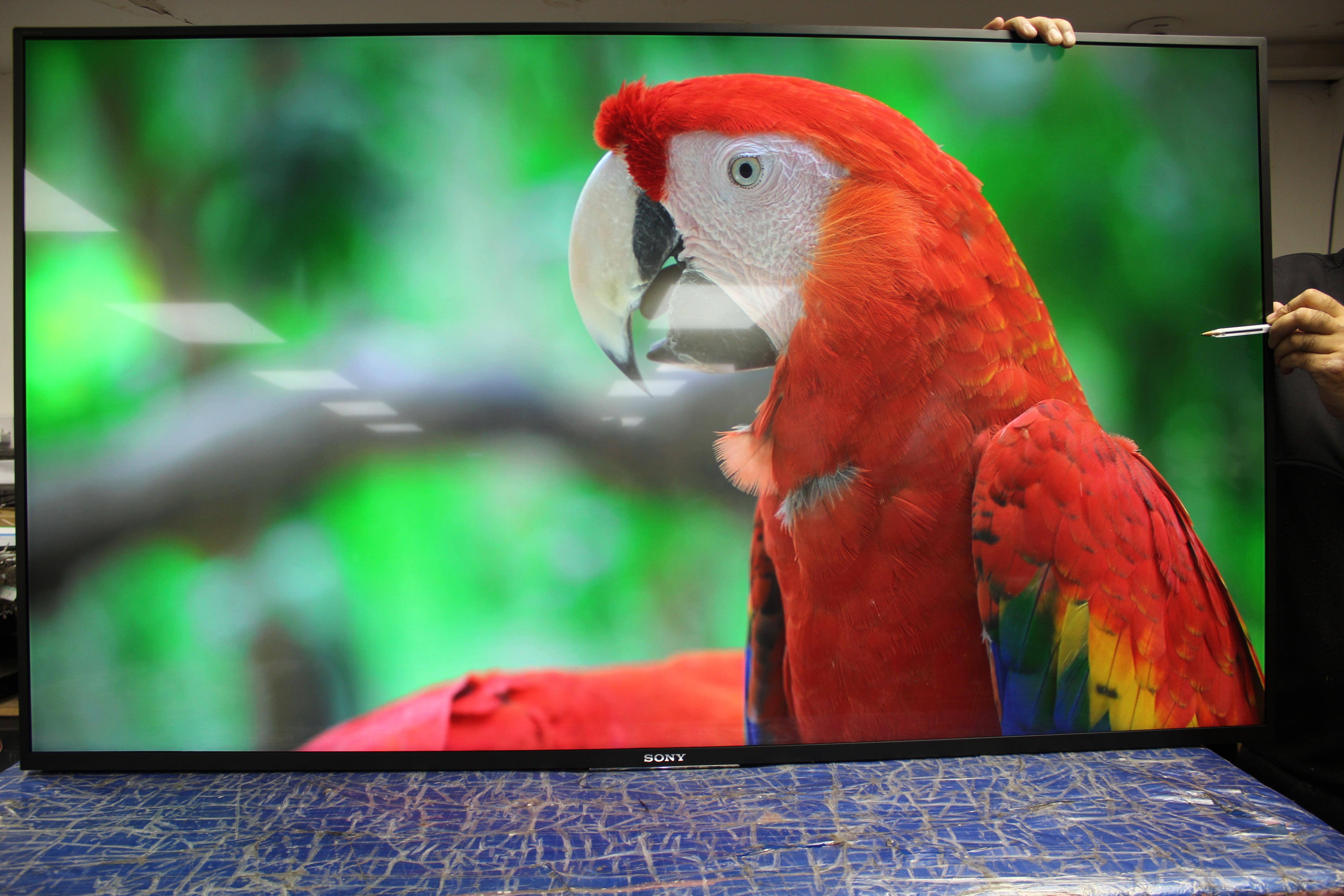 55" Sony KD55XE8396 4K Ultra HD HDR Smart Android LED TV - Electronic World TV