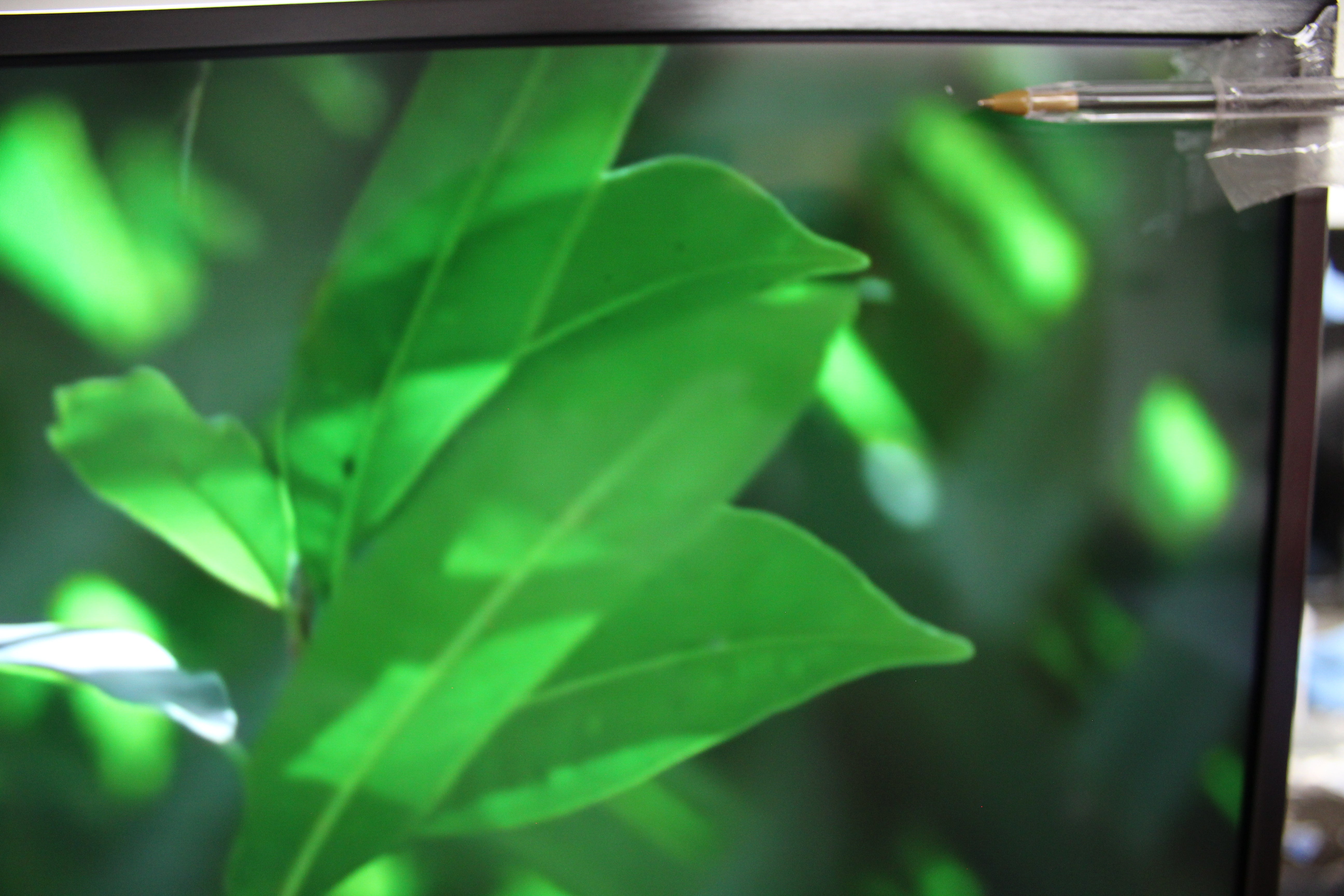 55" Sony KD55XF8796BU 4K Ultra HD Android Smart HDR LED TV - Electronic World TV