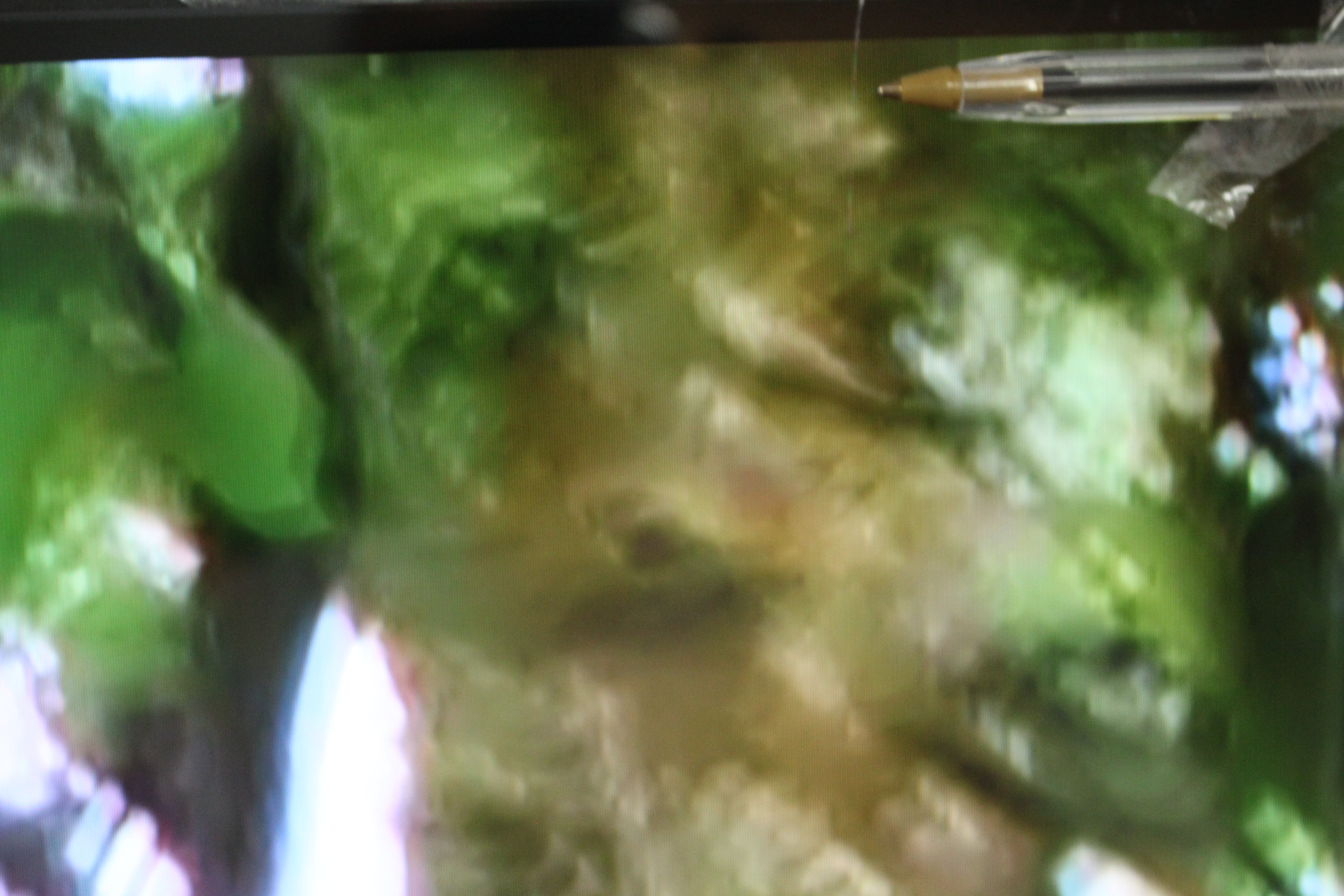 55" Hisense 55E7QTUK Premium 4K HDR Smart QLED TV - Electronic World TV