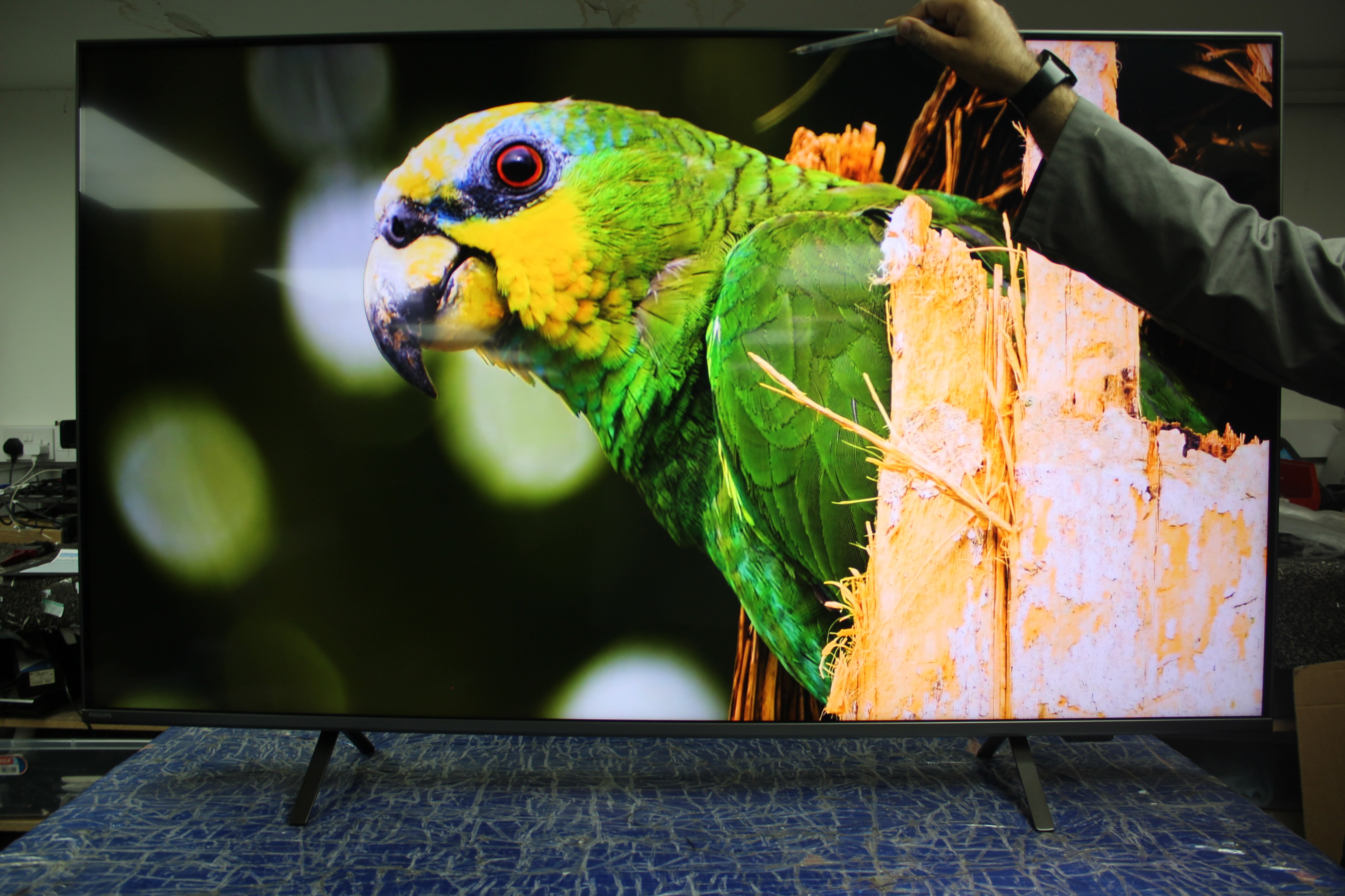 55" Philips 55PML9008/12 Ambilight 4K HDR Google Smart LED TV - Electronic World TV