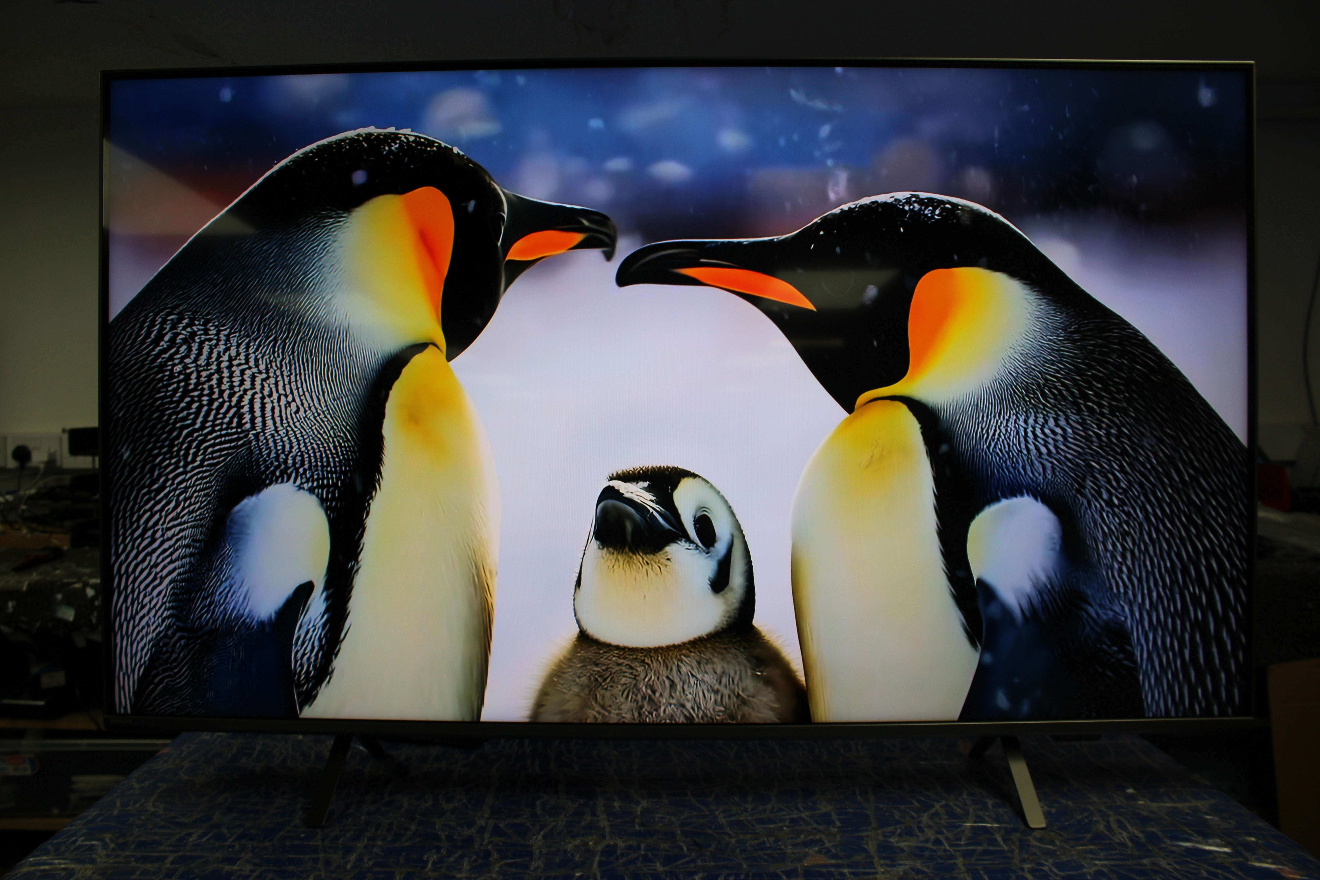 55" Philips 55PML9008/12 Ambilight 4K HDR Google Smart LED TV - Electronic World TV