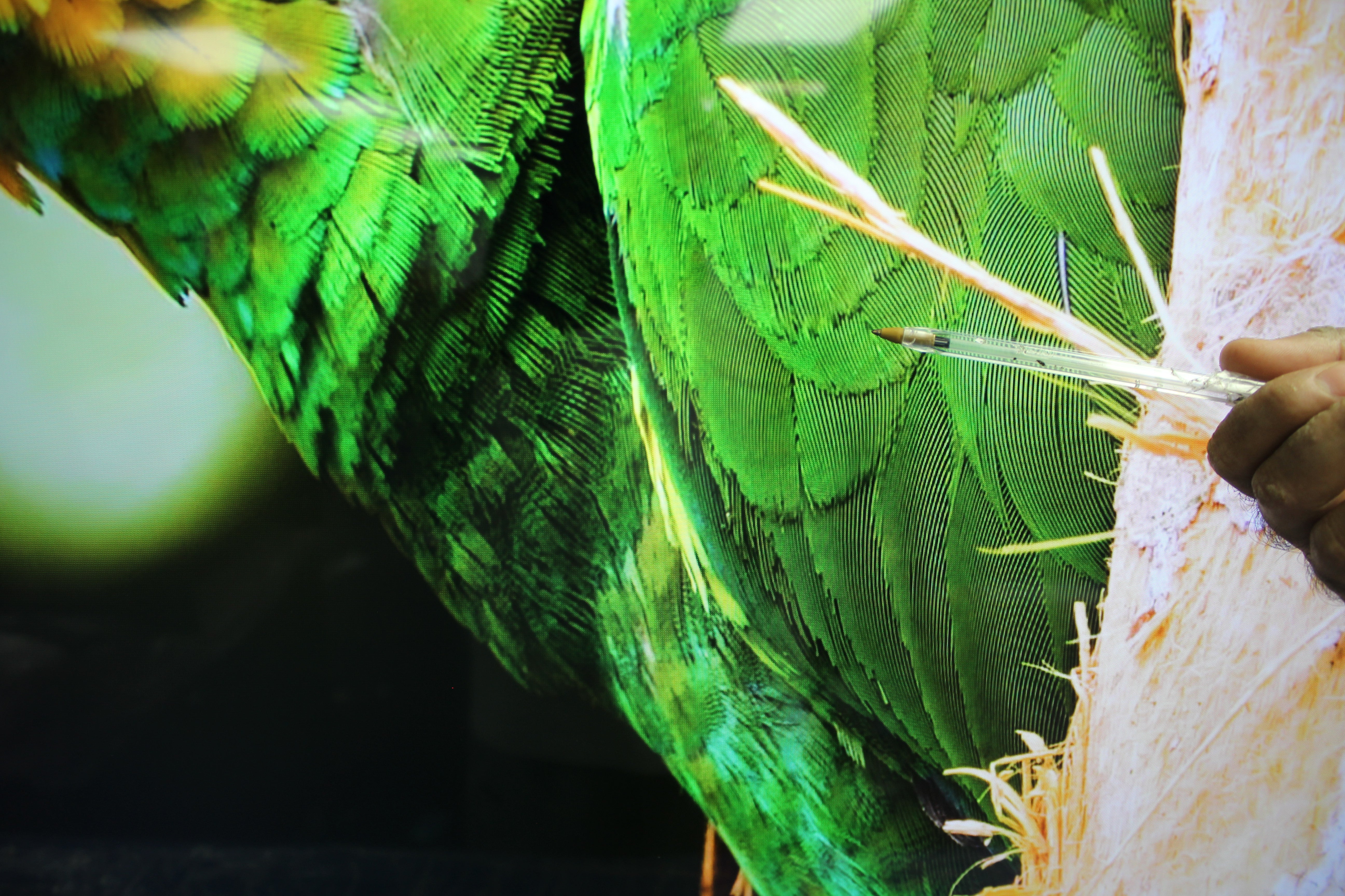 55" Sony Bravia KD55X75WL 4K HDR Google LED TV - Electronic World TV