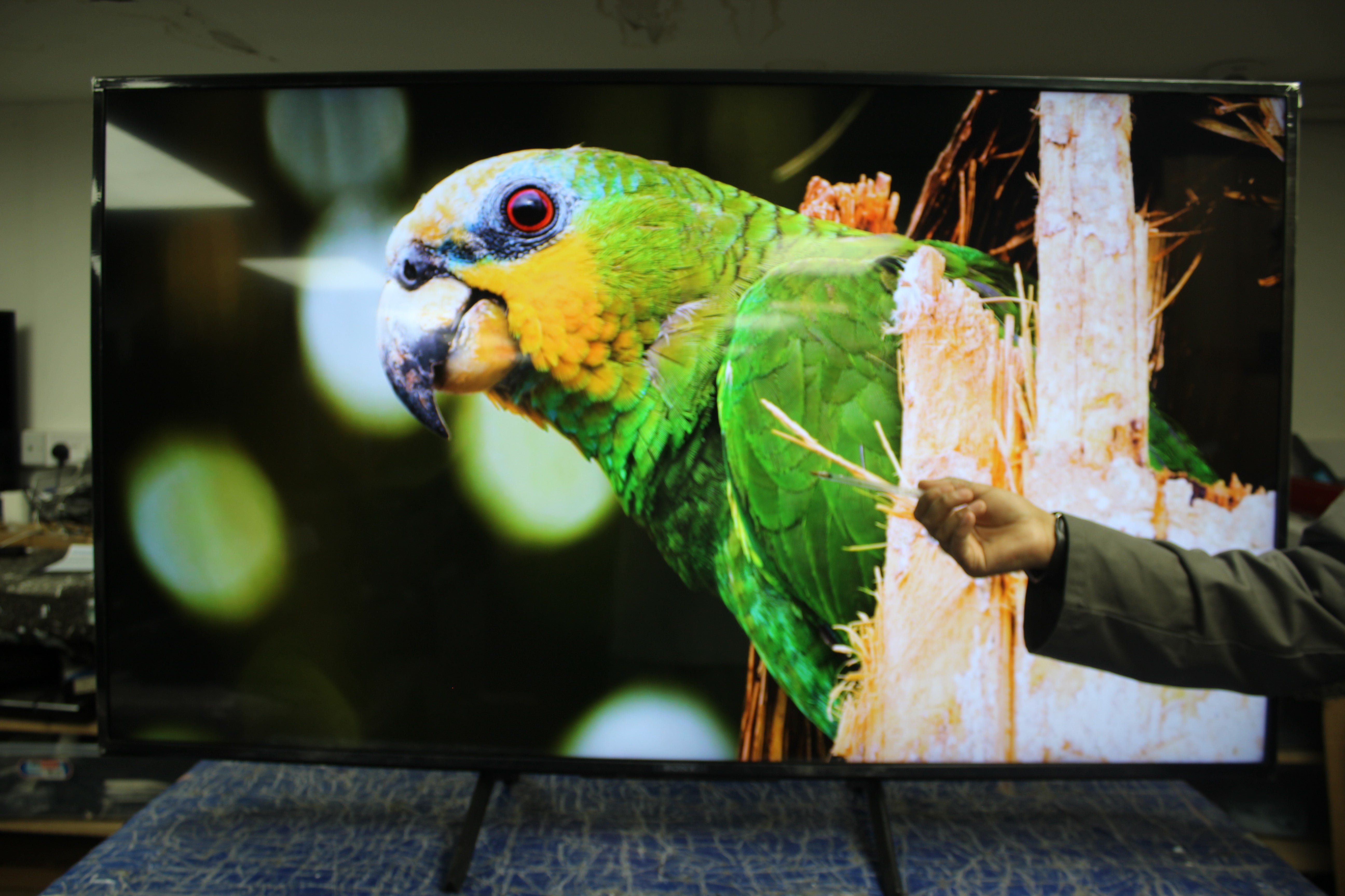 55" Sony Bravia KD55X75WL 4K HDR Google LED TV - Electronic World TV