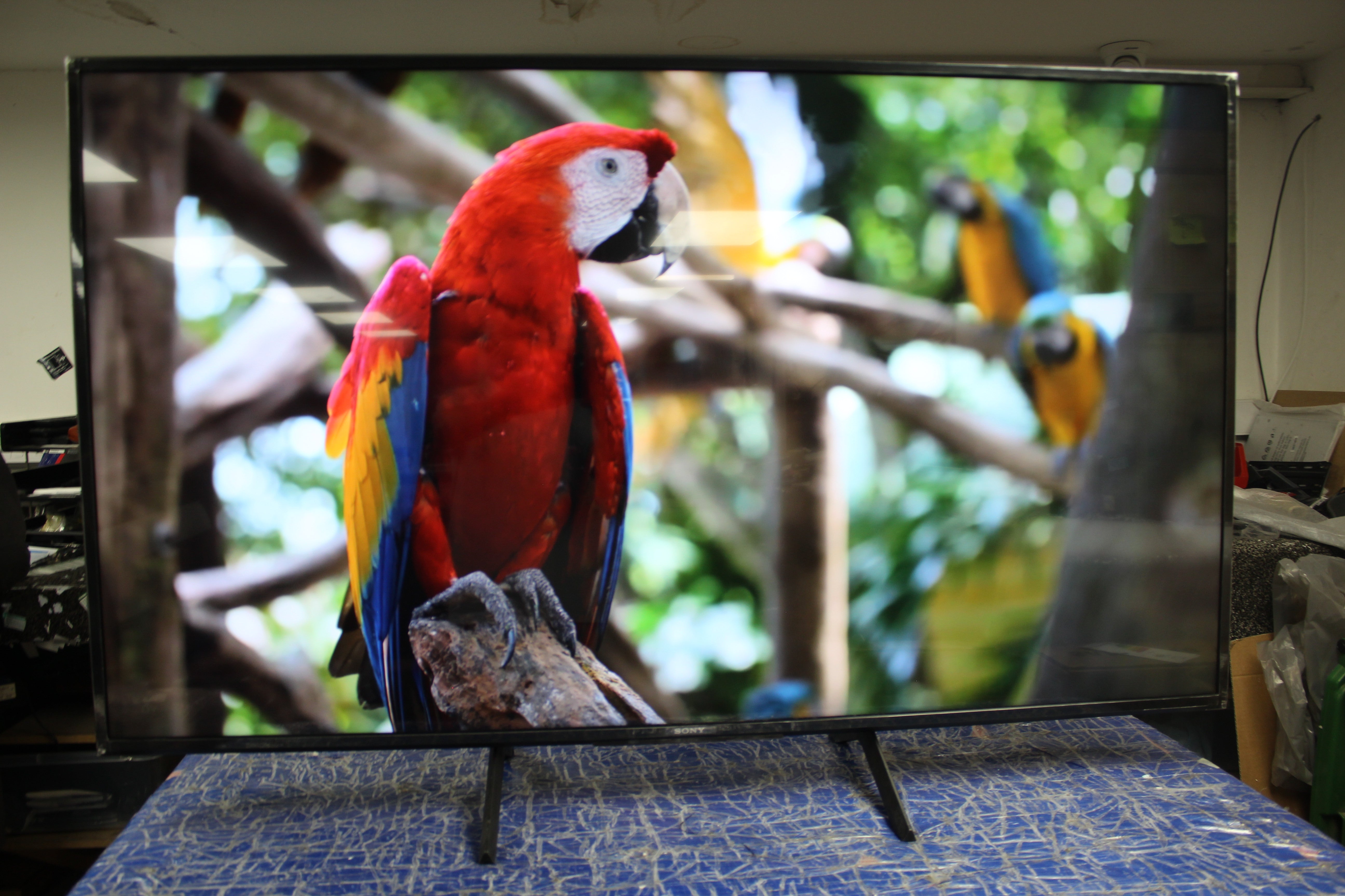 55" Sony Bravia KD55X75WL 4K HDR Google LED TV - Electronic World TV