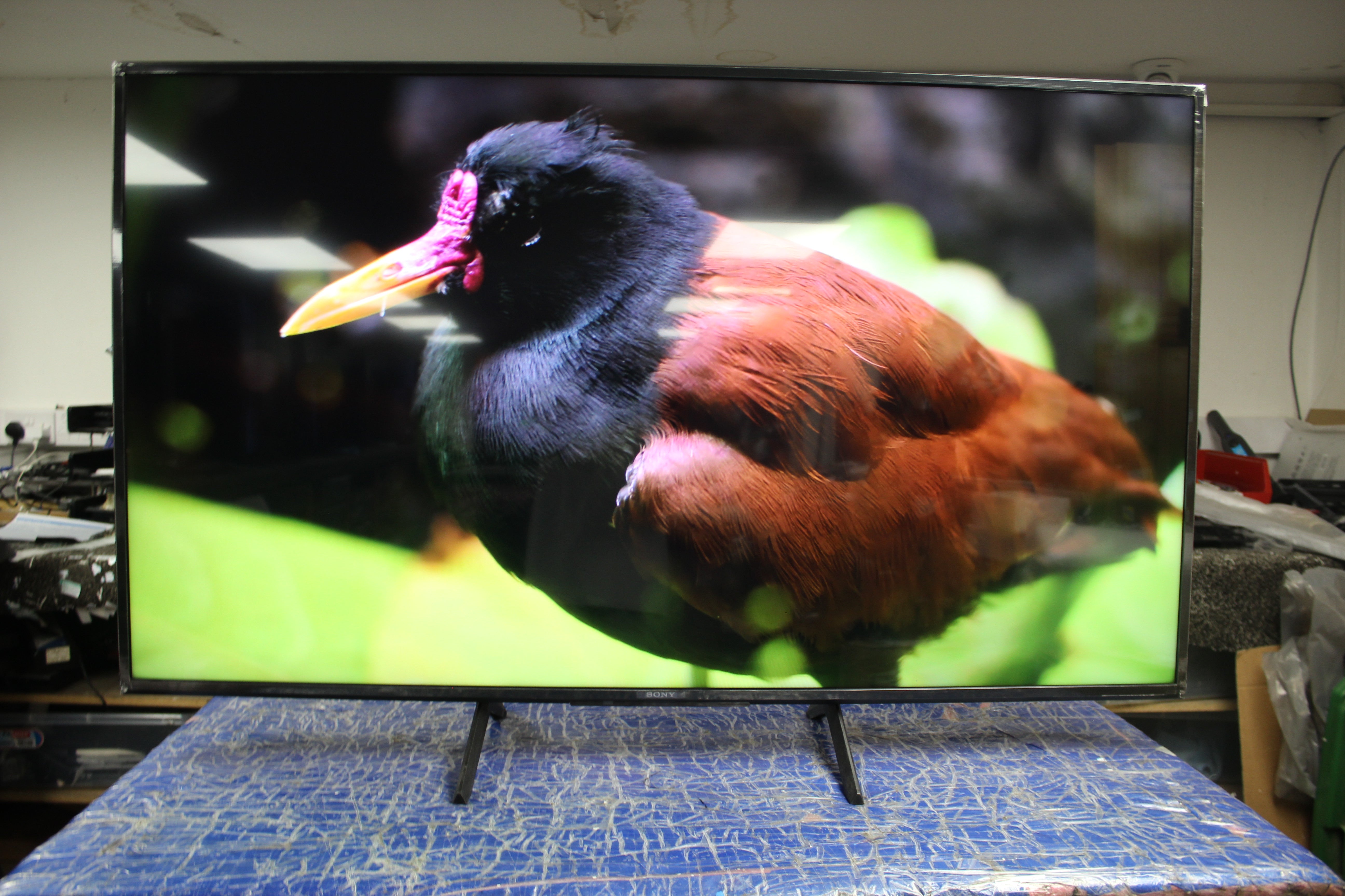 55" Sony Bravia KD55X75WL 4K HDR Google LED TV - Electronic World TV