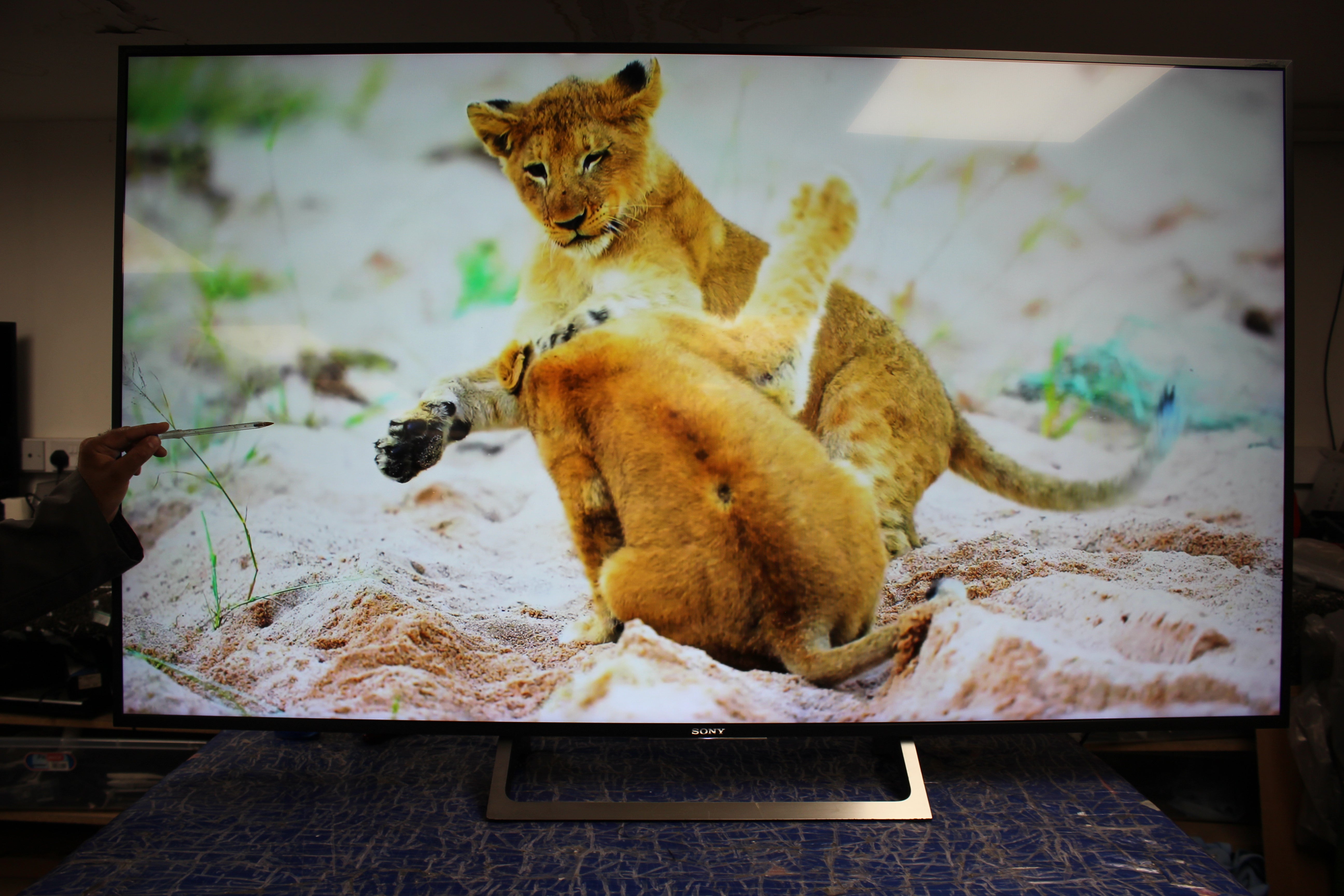 65" Sony Bravia KD65XE8596BU 4K Ultra HD Android Smart LED TV - Electronic World TV