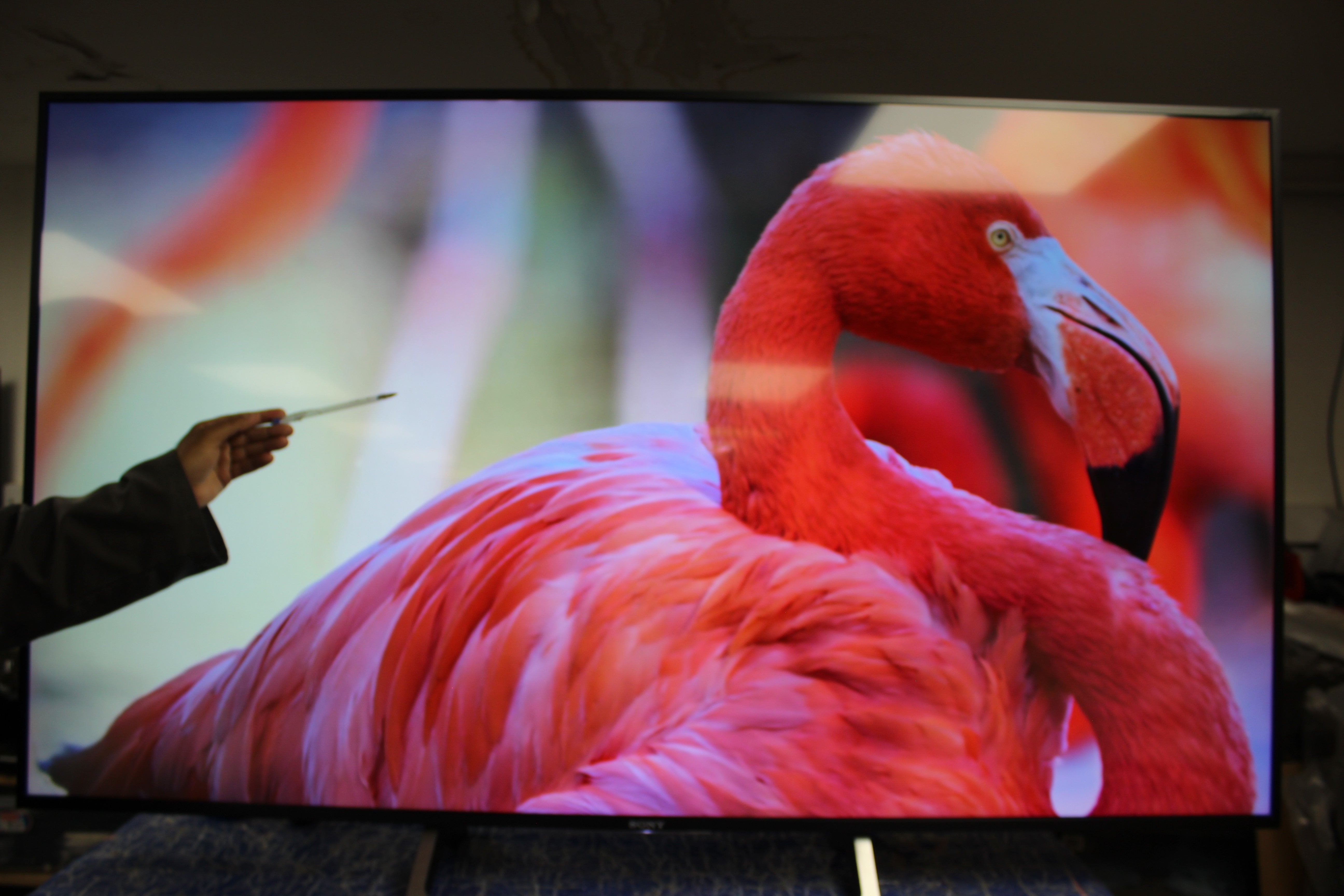 65" Sony Bravia KD65XE8596BU 4K Ultra HD Android Smart LED TV - Electronic World TV