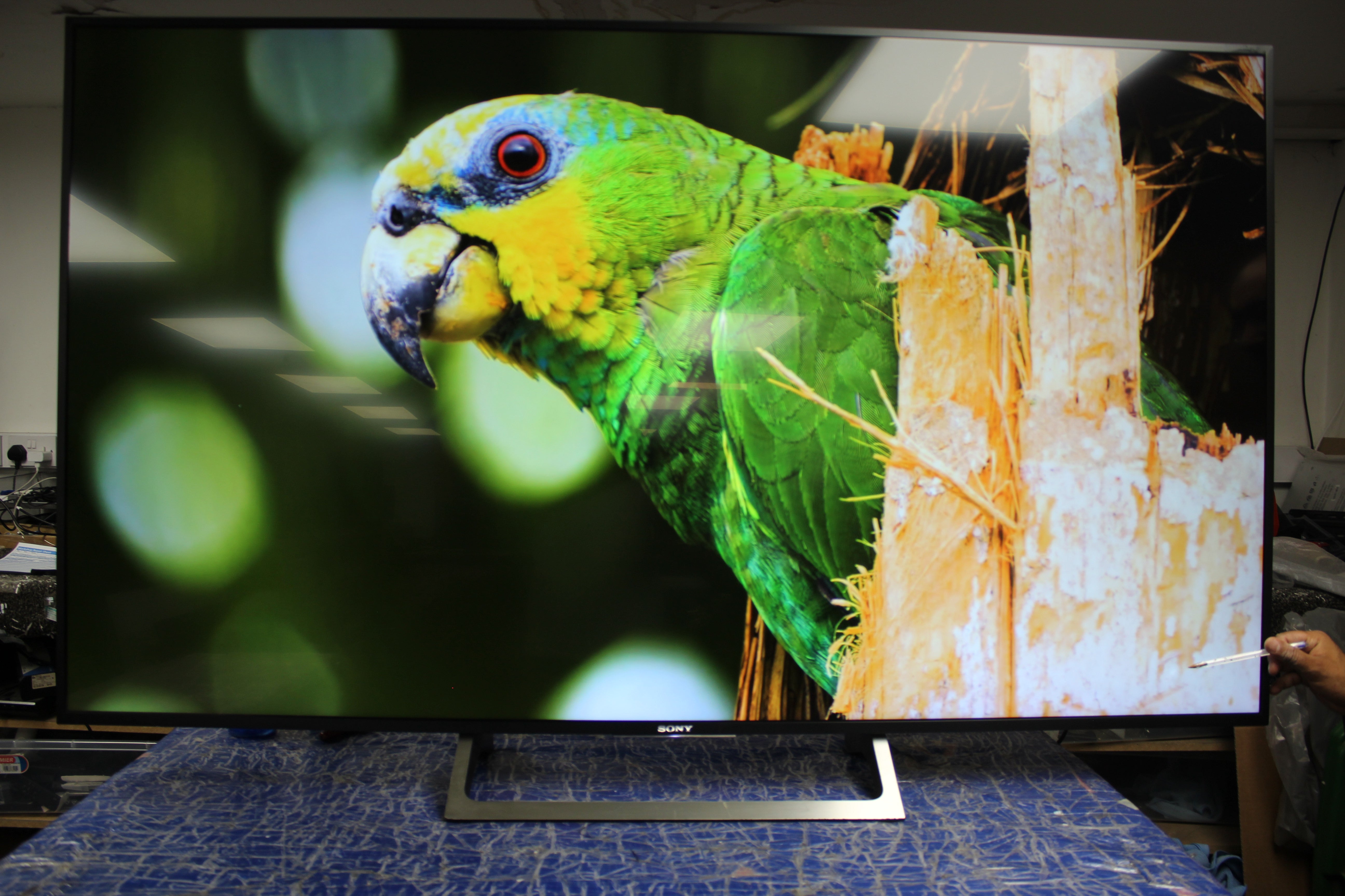 65" Sony Bravia KD65XE8596BU 4K Ultra HD Android Smart LED TV - Electronic World TV