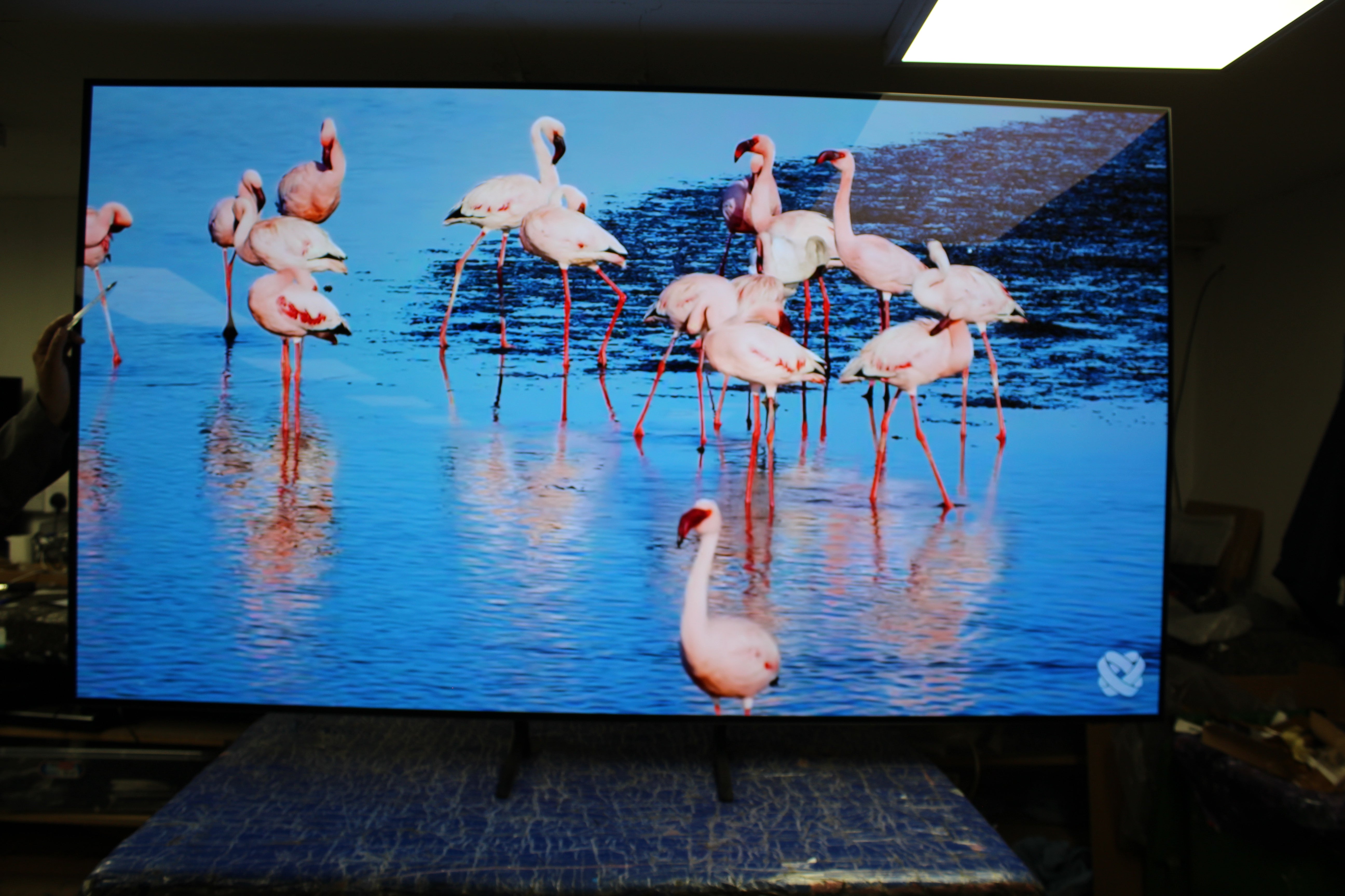 83" Samsung QE83S90D Flagship 4K HDR OLED TV - Electronic World TV