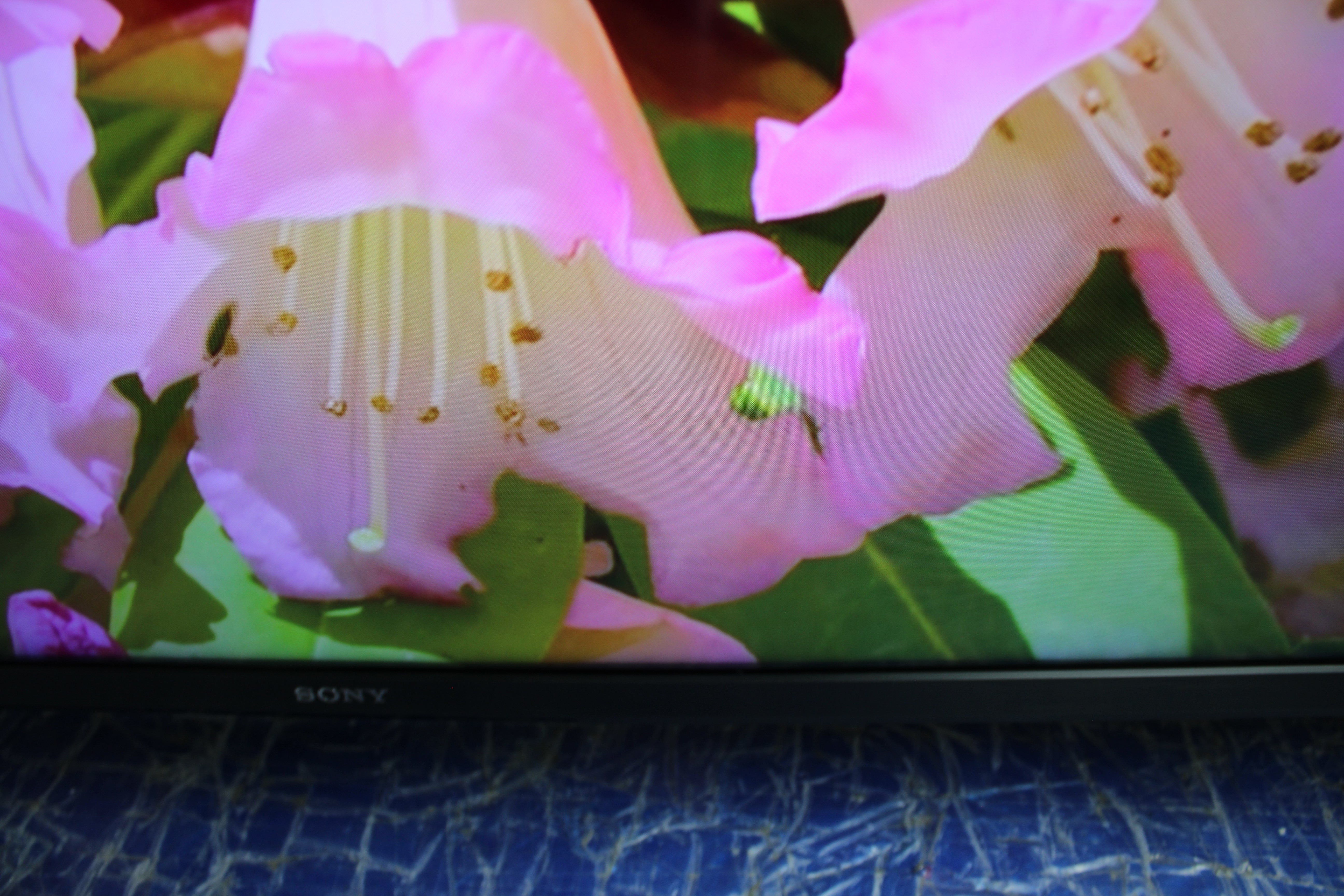 50" Sony Bravia KD-50X72KU 4K HDR Android Smart LED TV - Electronic World TV