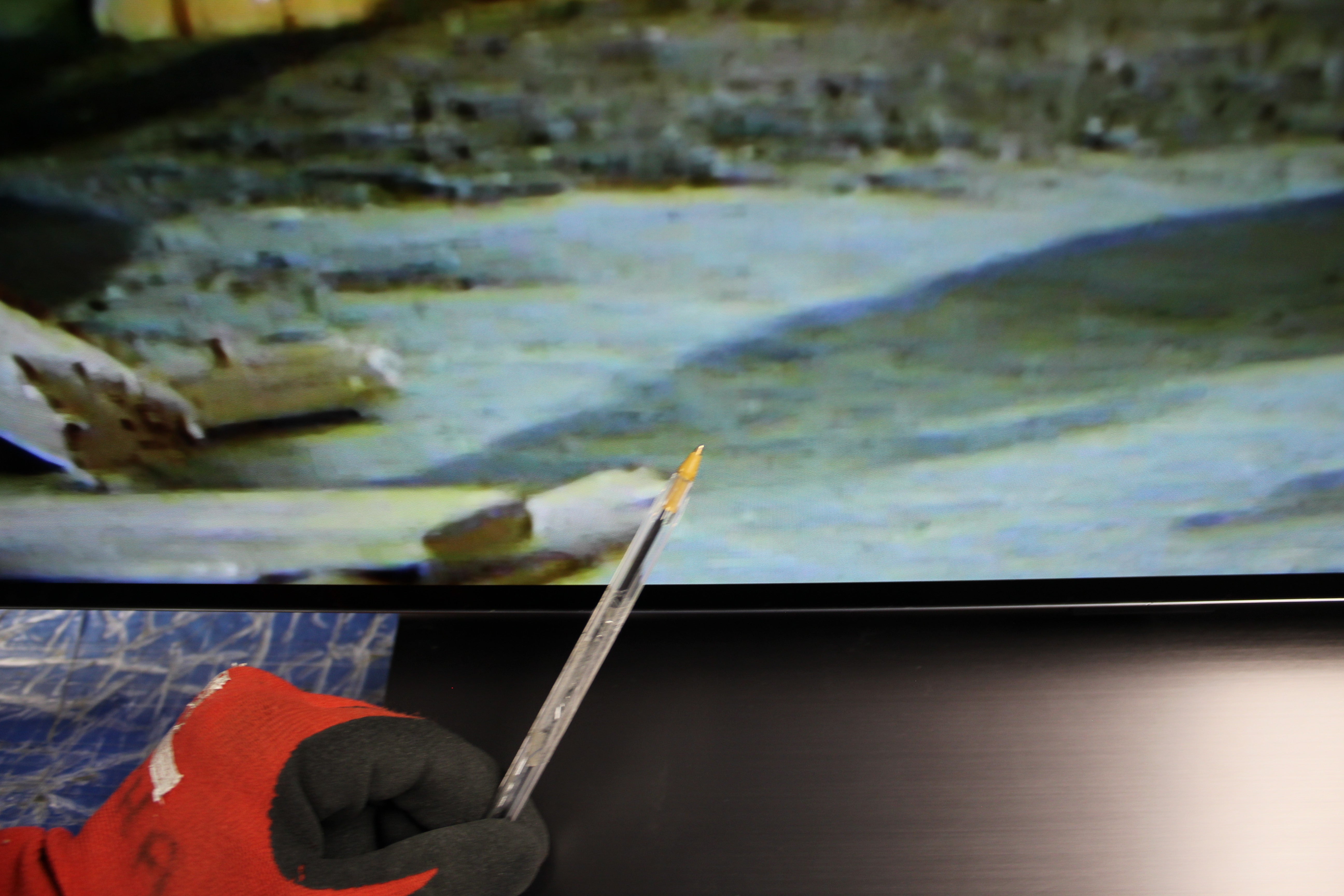 65" LG OLED65C34LA 4K HDR Smart OLED Evo TV - Electronic World TV