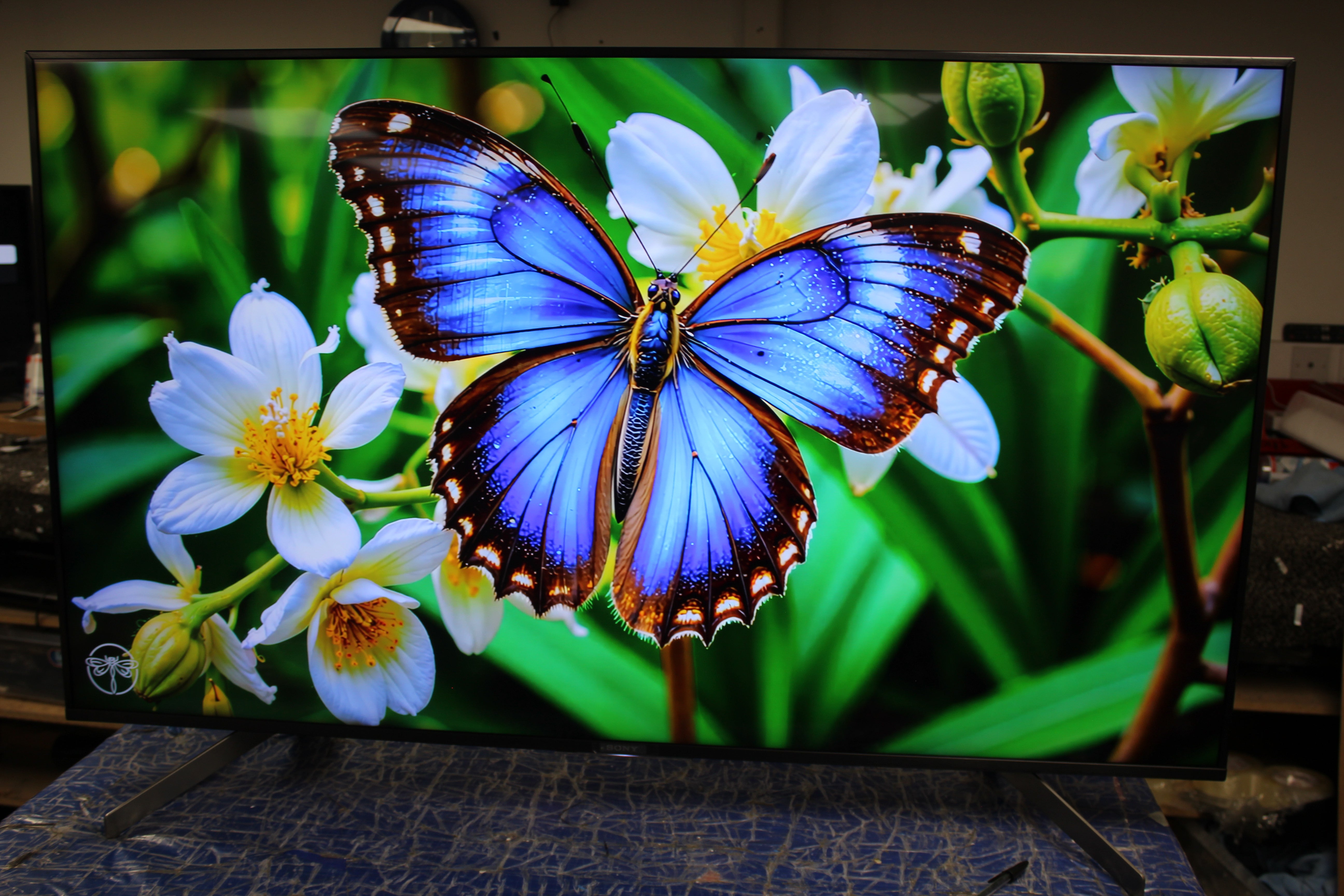 55" Sony Bravia KD55XG8505BU 4K Ultra HD HDR Android Smart LED TV - Electronic World TV