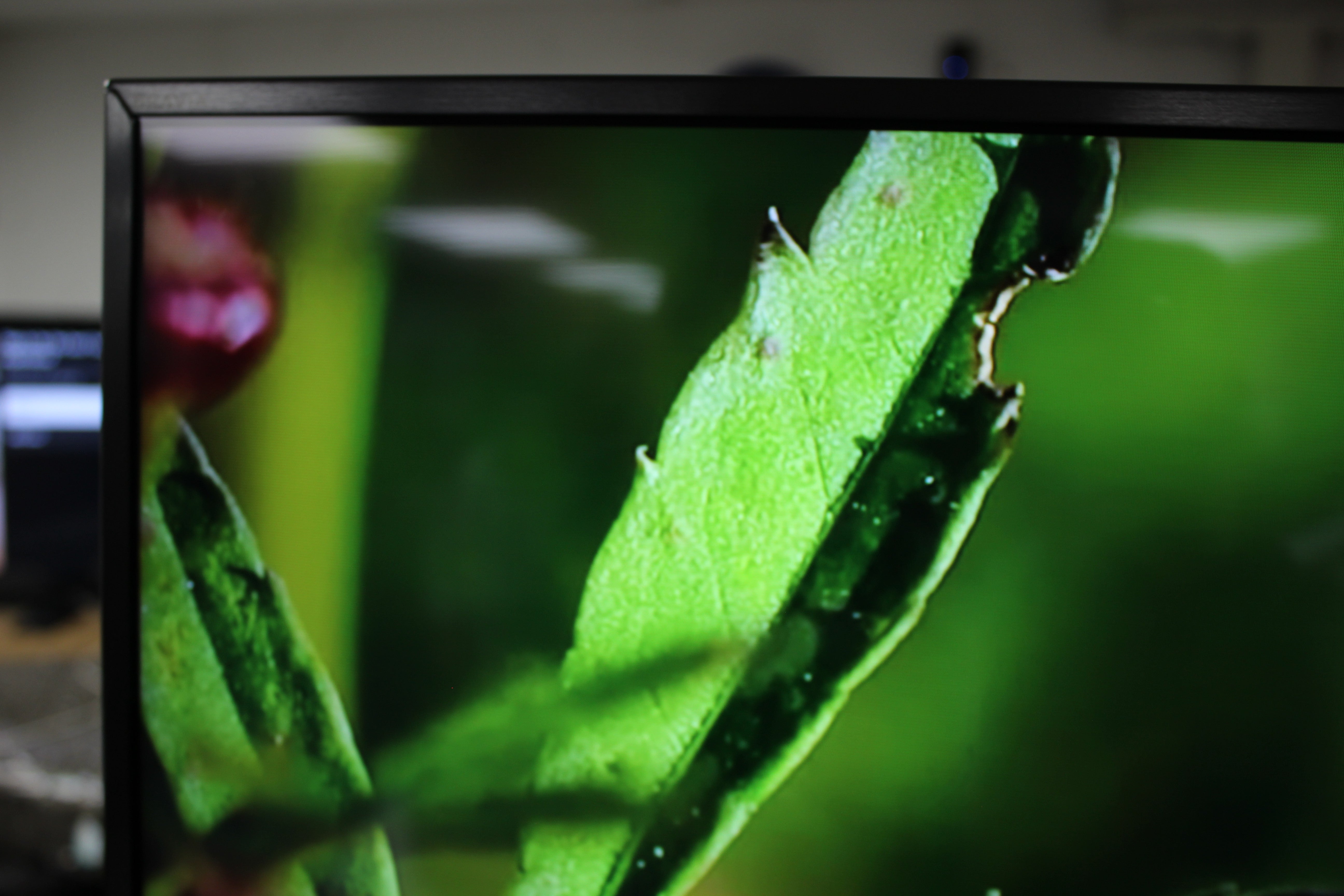 55" Sony Bravia KD55XG8505BU 4K Ultra HD HDR Android Smart LED TV - Electronic World TV