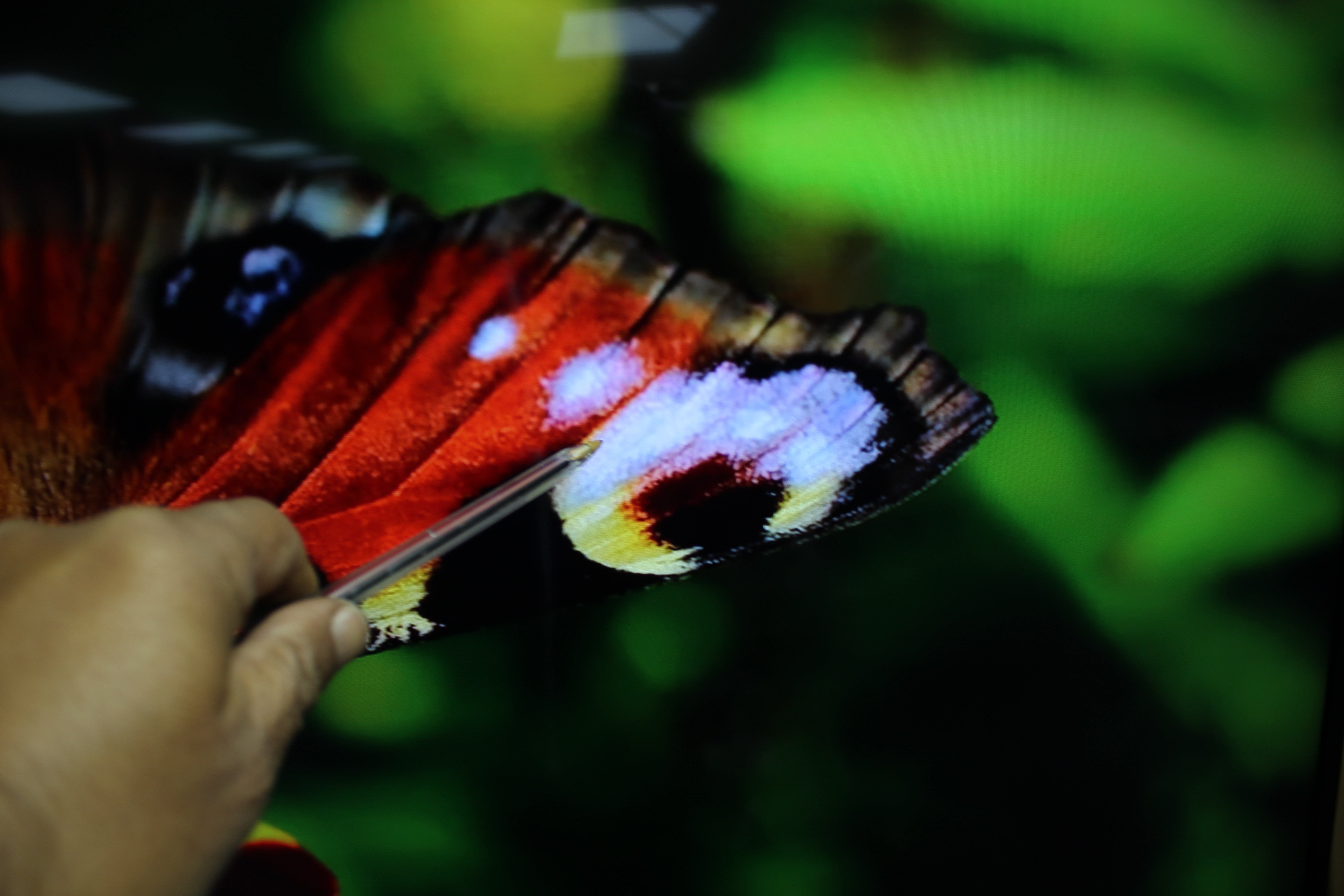 55" Sony Bravia KD55XG8505BU 4K Ultra HD HDR Android Smart LED TV - Electronic World TV