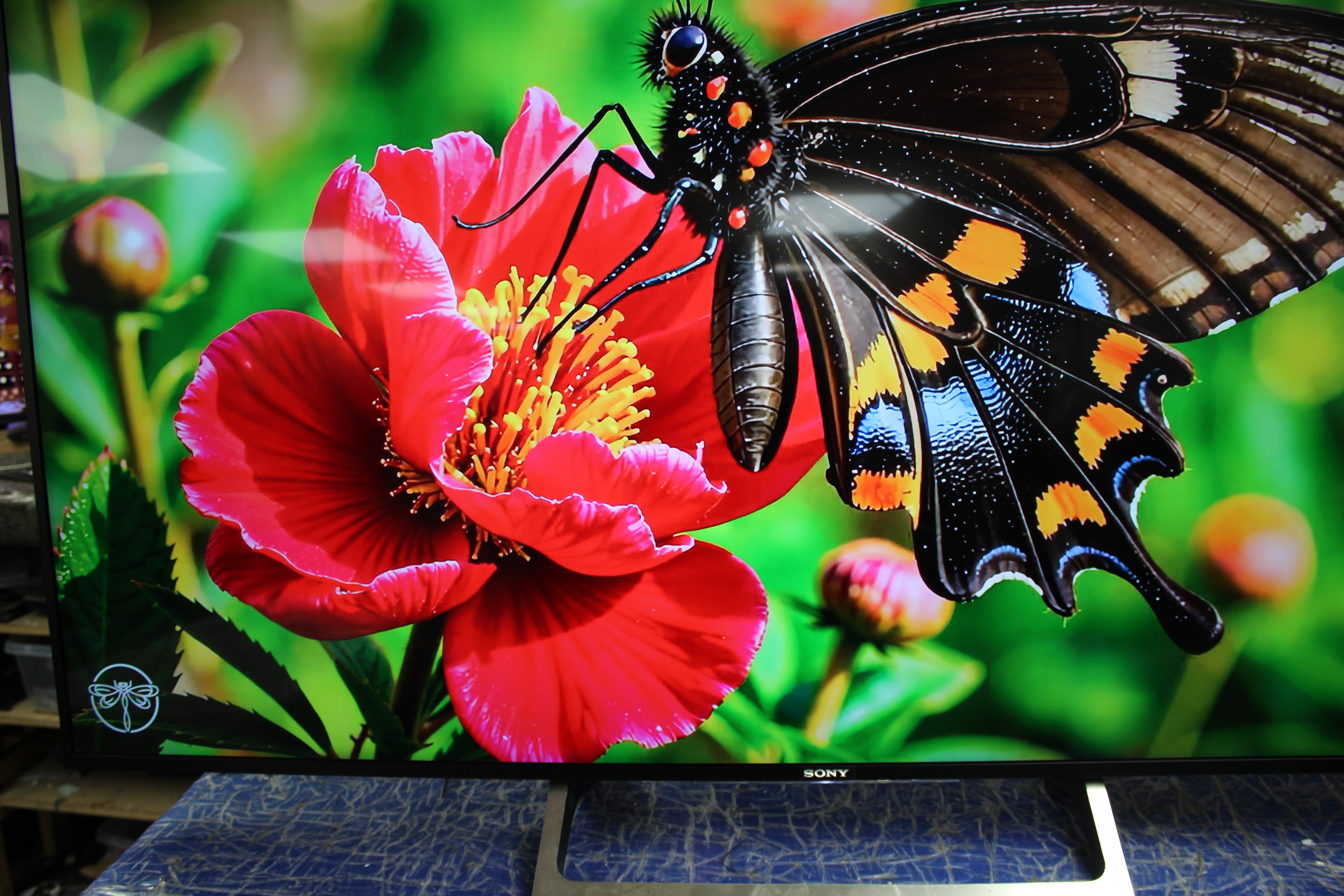 65" Sony KD65XD8599BU 4K Ultra HD HDR Android Smart LED TV - Electronic World TV