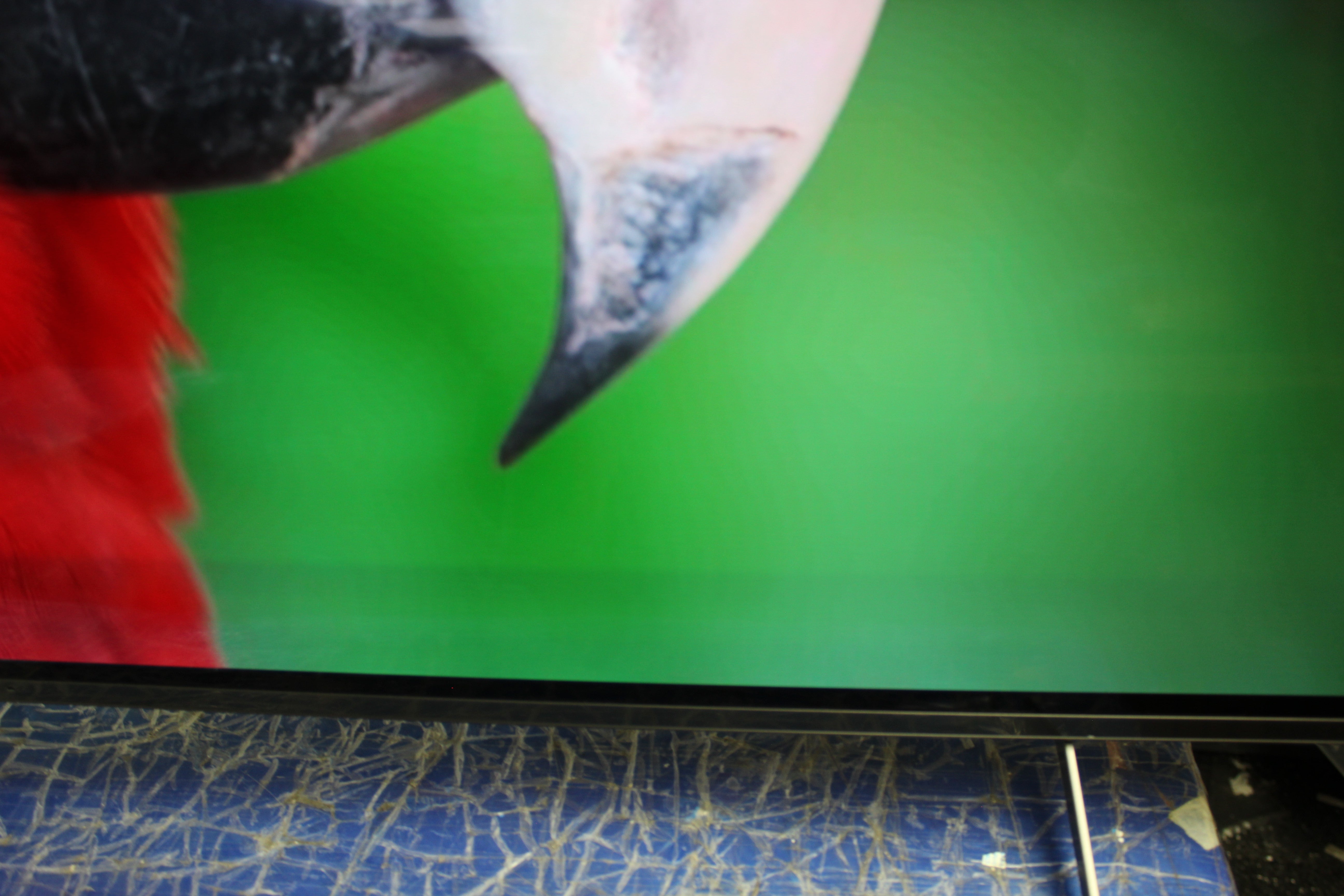 65" Sony Bravia XR65A84KU 4K HDR Google Smart OLED TV