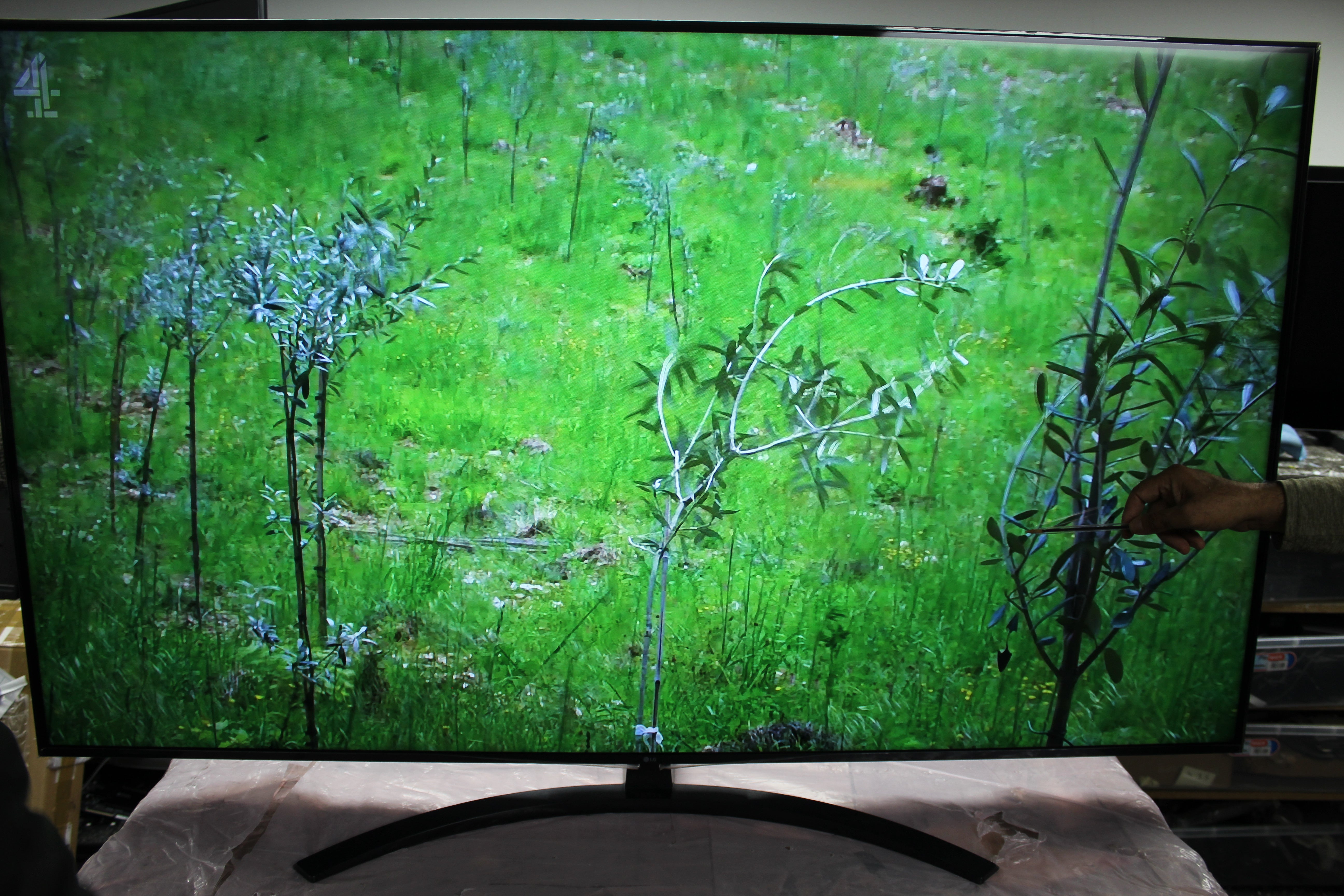 65" LG 65NANO816QA 4K HDR Nano Cell Smart LED TV - Electronic World TV