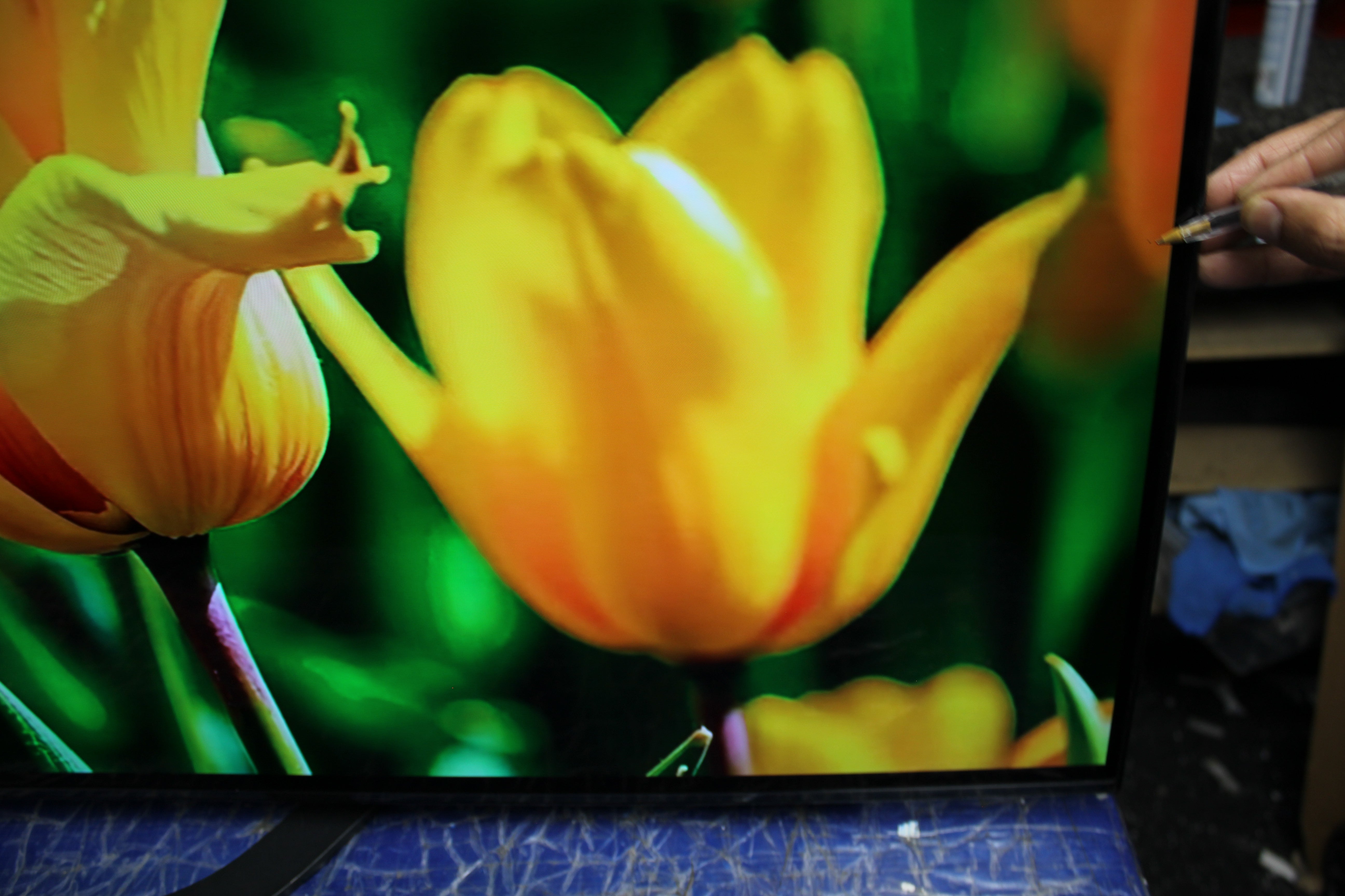 55" Sony KD55AG8BU 4K HDR Android Smart OLED TV