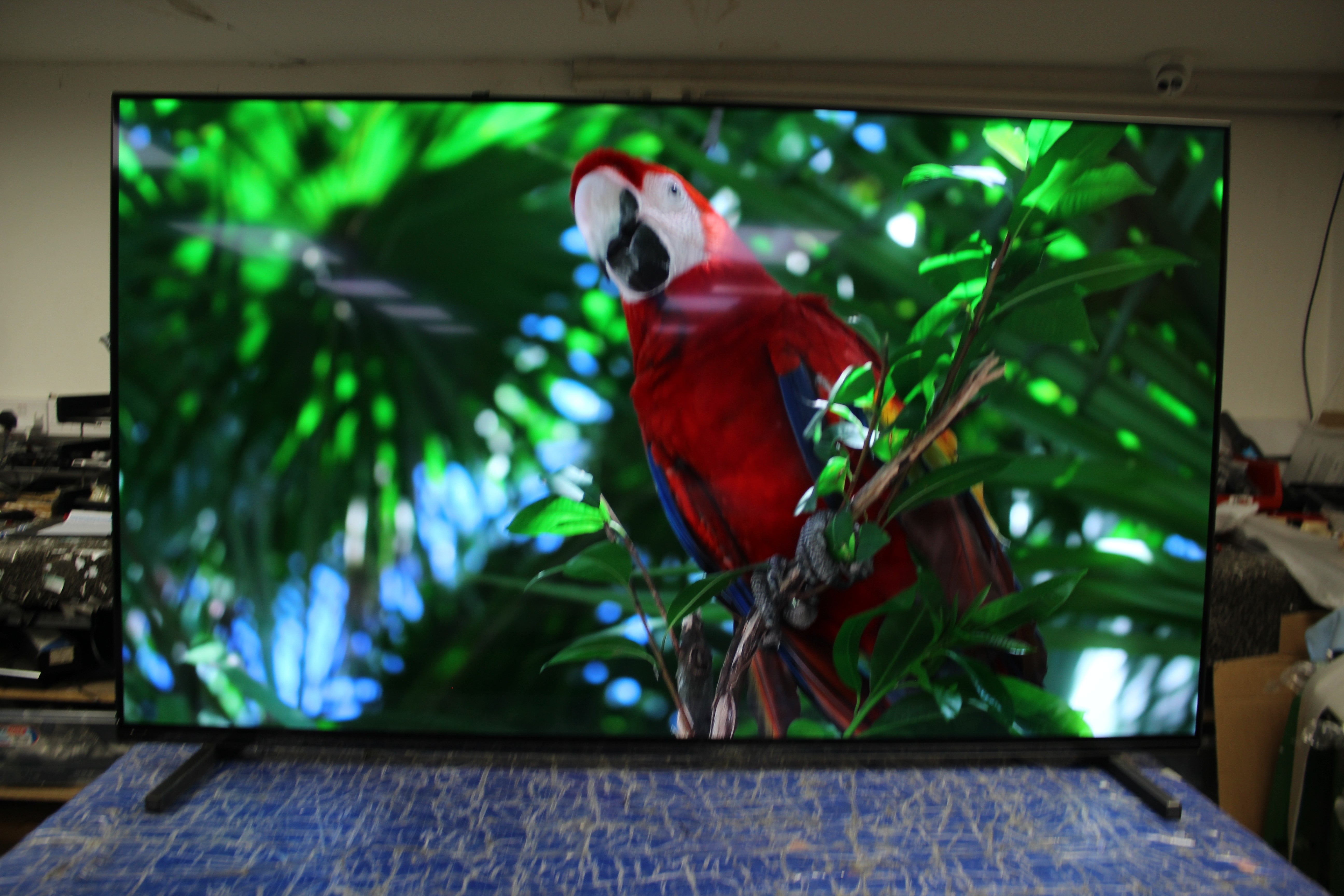 55" Sony Bravia XR55A80JU 4K HDR Google Smart OLED TV - Electronic World TV