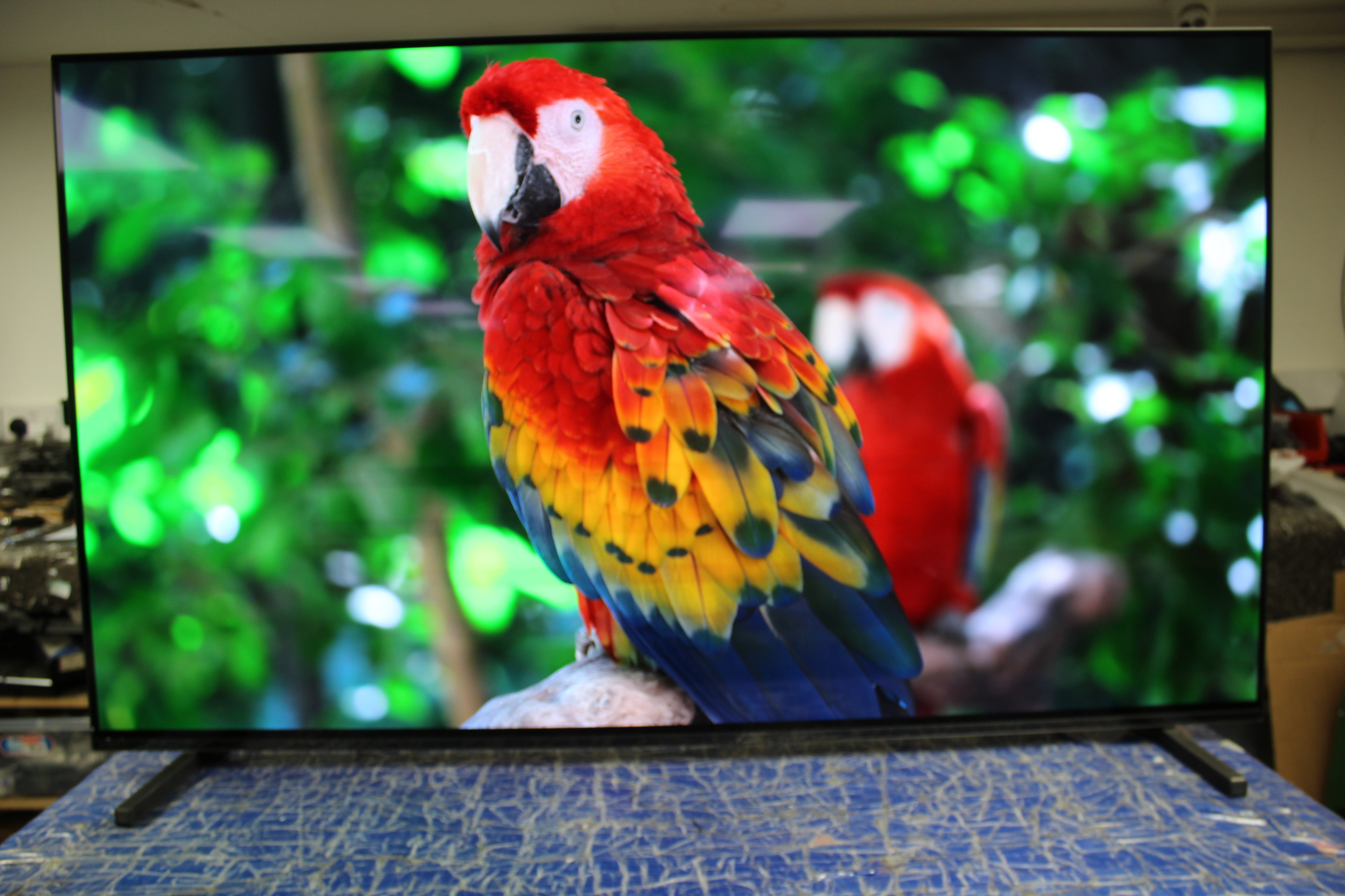 55" Sony Bravia XR55A80JU 4K HDR Google Smart OLED TV - Electronic World TV