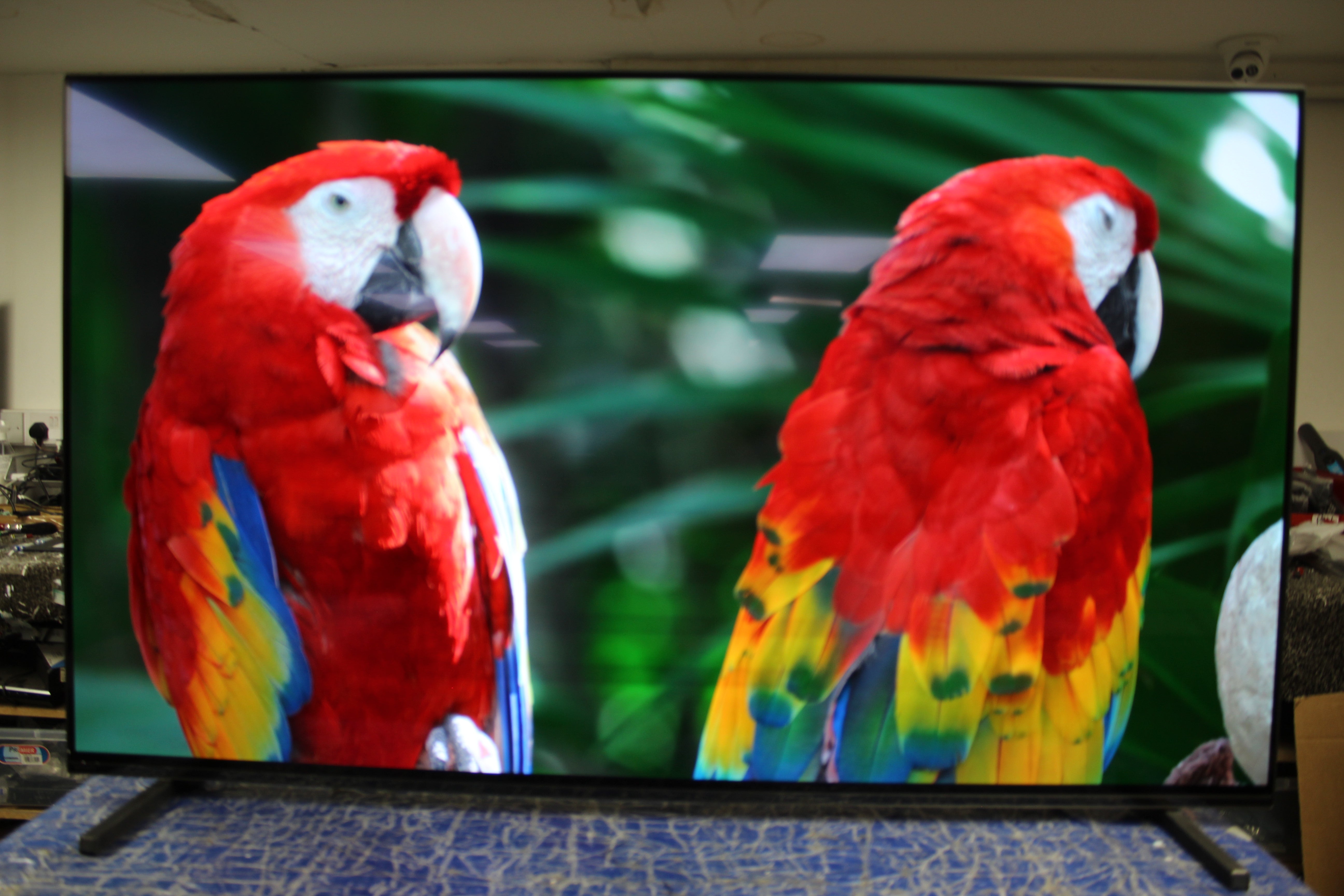 55" Sony Bravia XR55A80JU 4K HDR Google Smart OLED TV - Electronic World TV