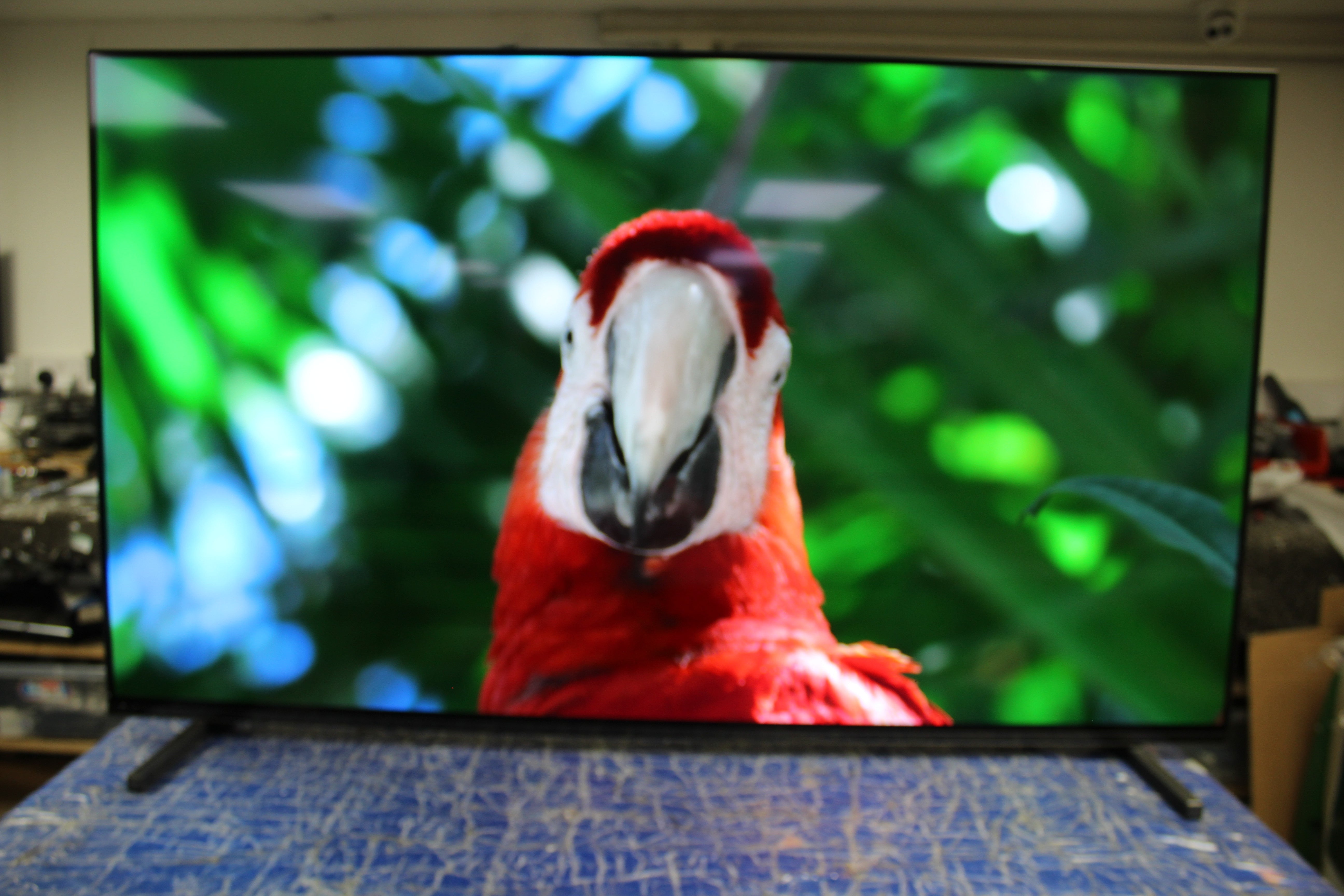 55" Sony Bravia XR55A80JU 4K HDR Google Smart OLED TV - Electronic World TV