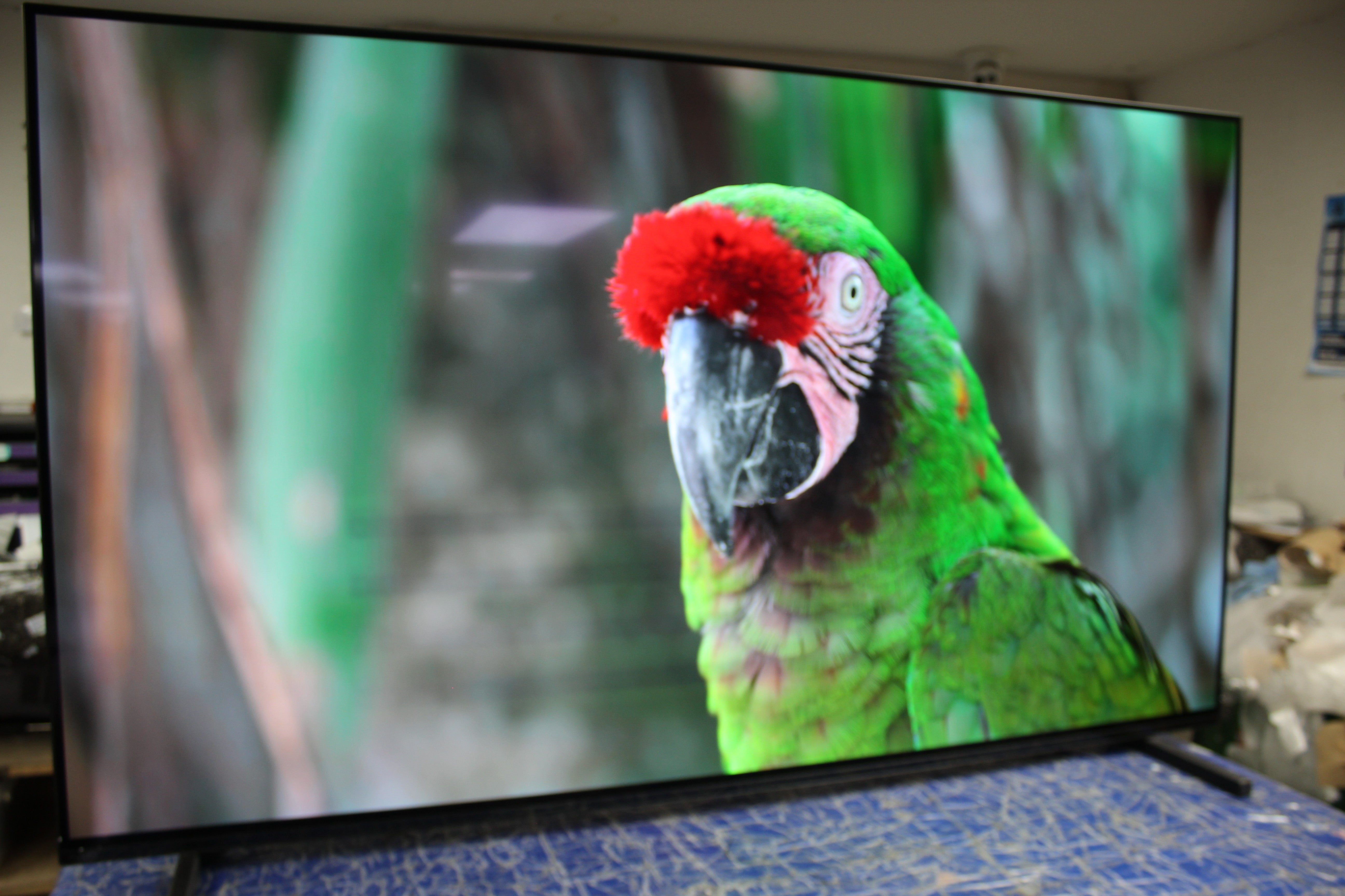 55" Sony Bravia XR55A80JU 4K HDR Google Smart OLED TV - Electronic World TV