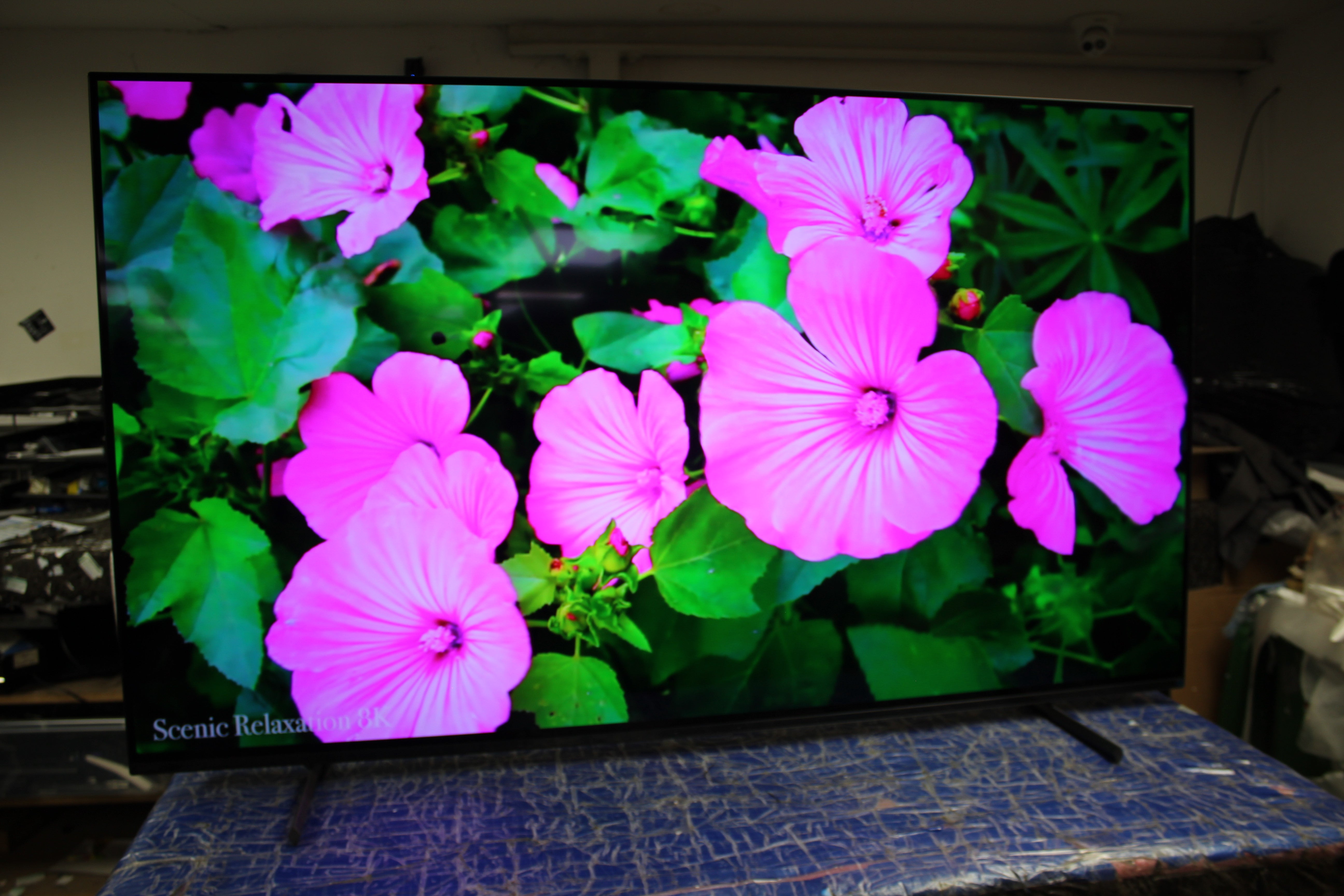 55" Sony Bravia XR55A84KU 4K HDR Google Smart OLED TV - Electronic World TV