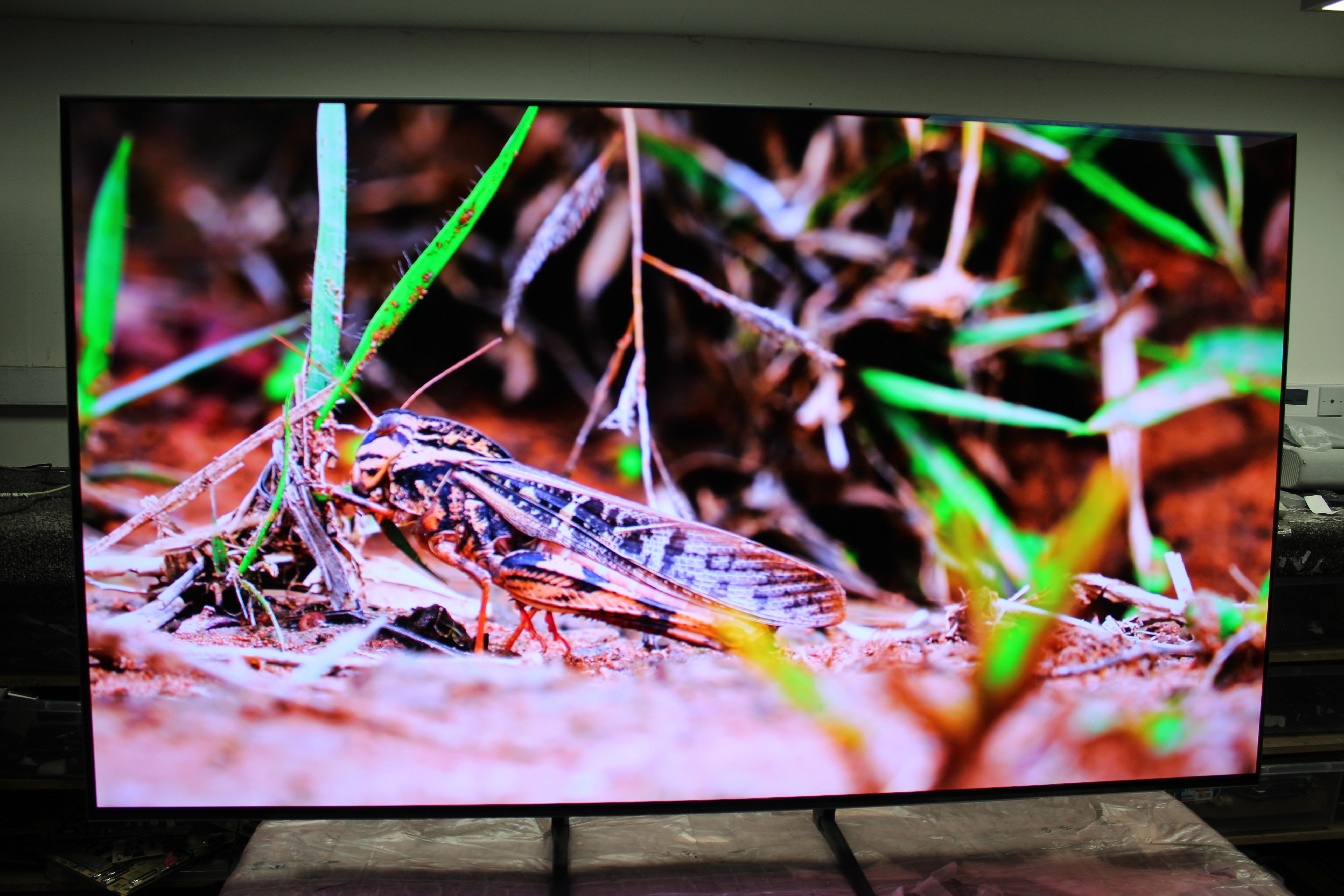 65" Samsung QE65S95BATXXU Flagship 4K HDR Quantum Dot OLED TV - Electronic World TV