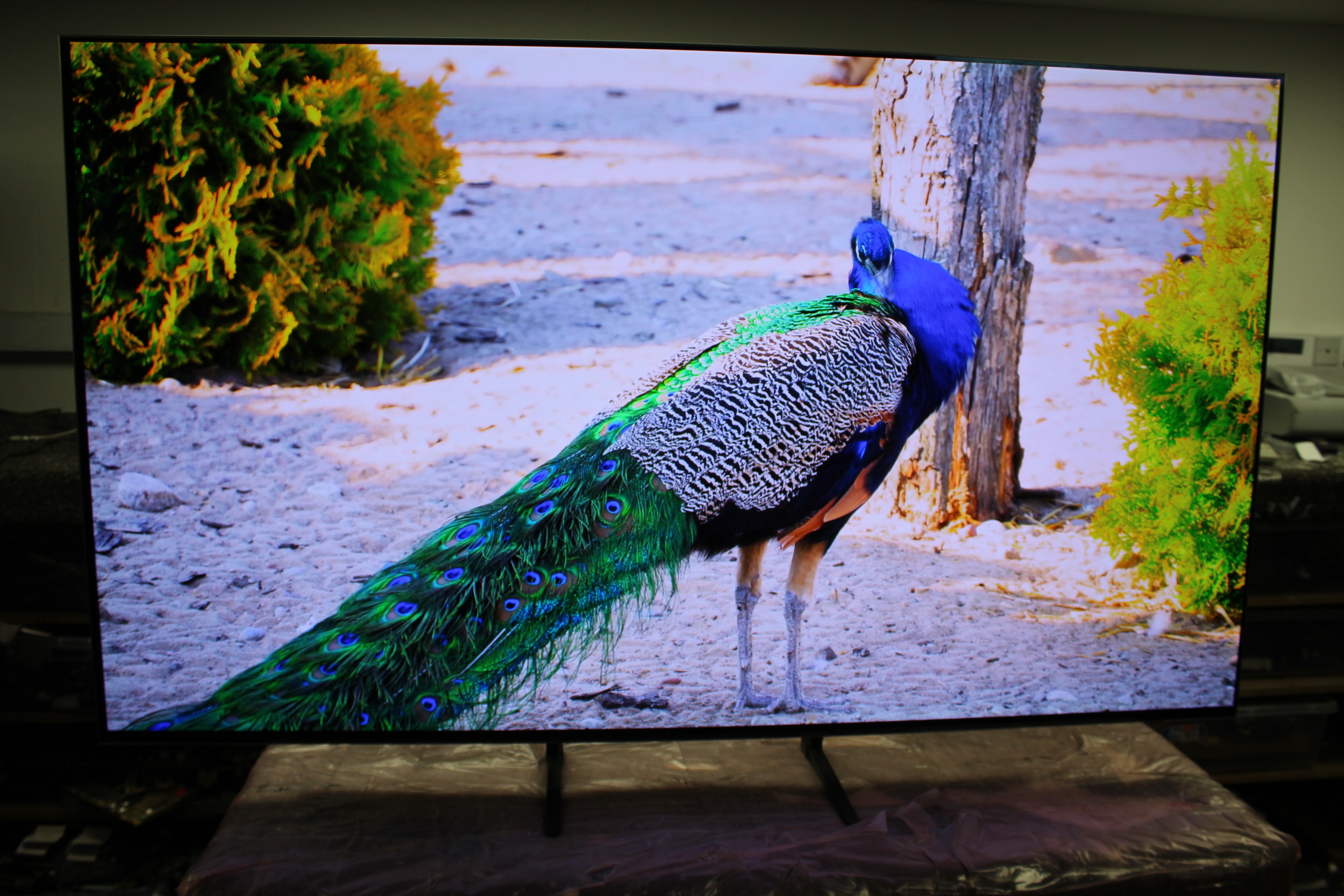 65" Samsung QE65S95BATXXU Flagship 4K HDR Quantum Dot OLED TV - Electronic World TV